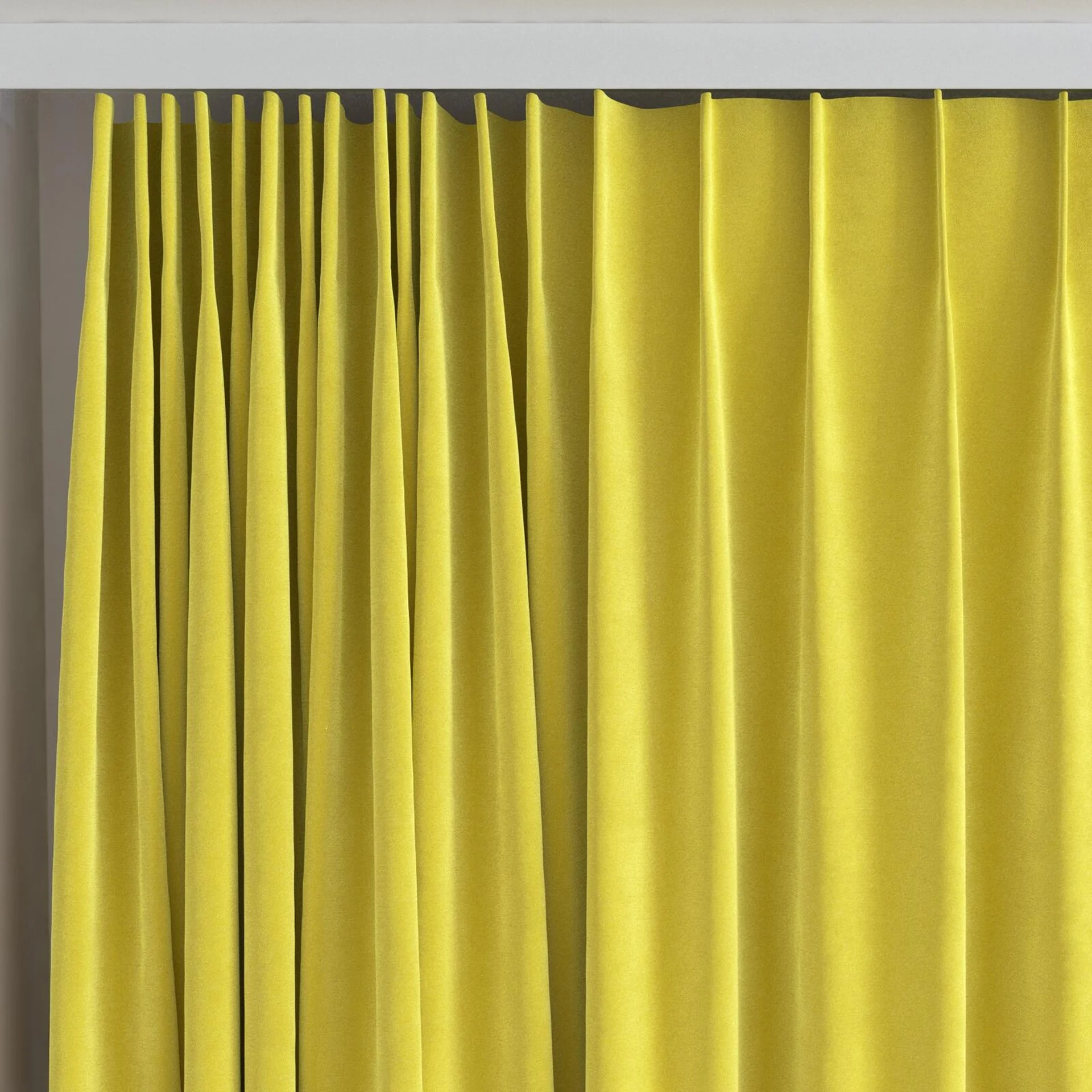 Top view of Moon Mimosa, on curtain rail