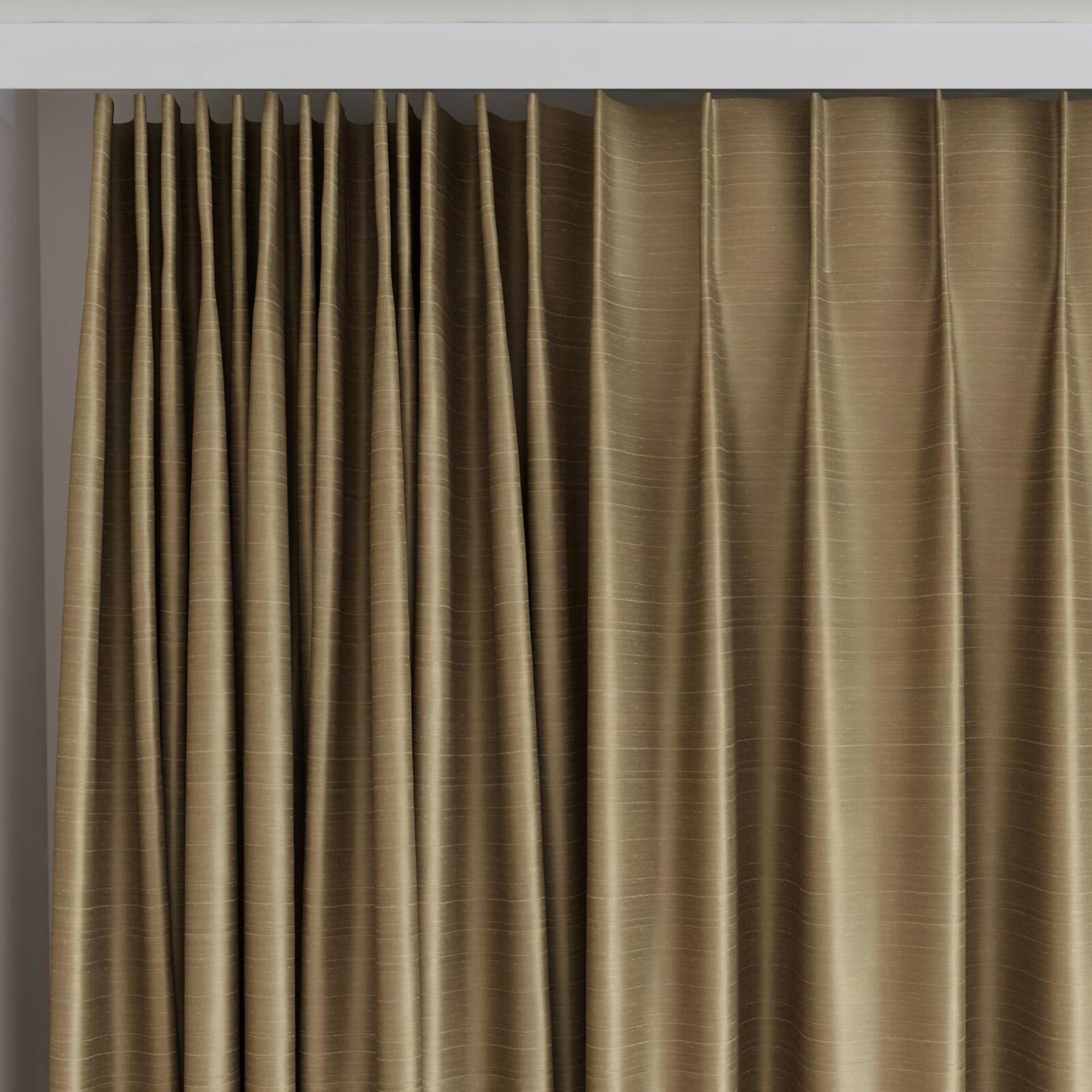 Top view of Silky Chinchilla, on curtain rail