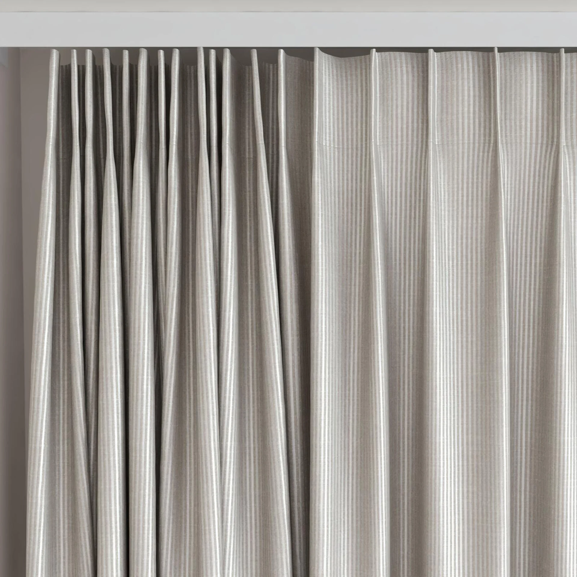 Top view of Leonardo Fossil, on curtain rail