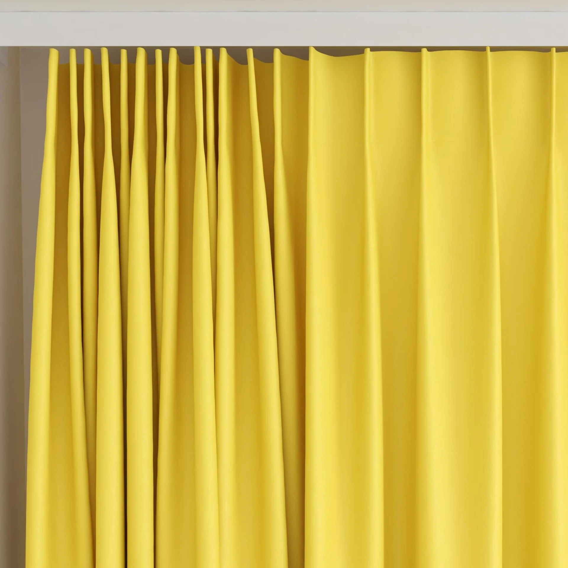 Top view of Blockbuster Buttercup, on curtain rail