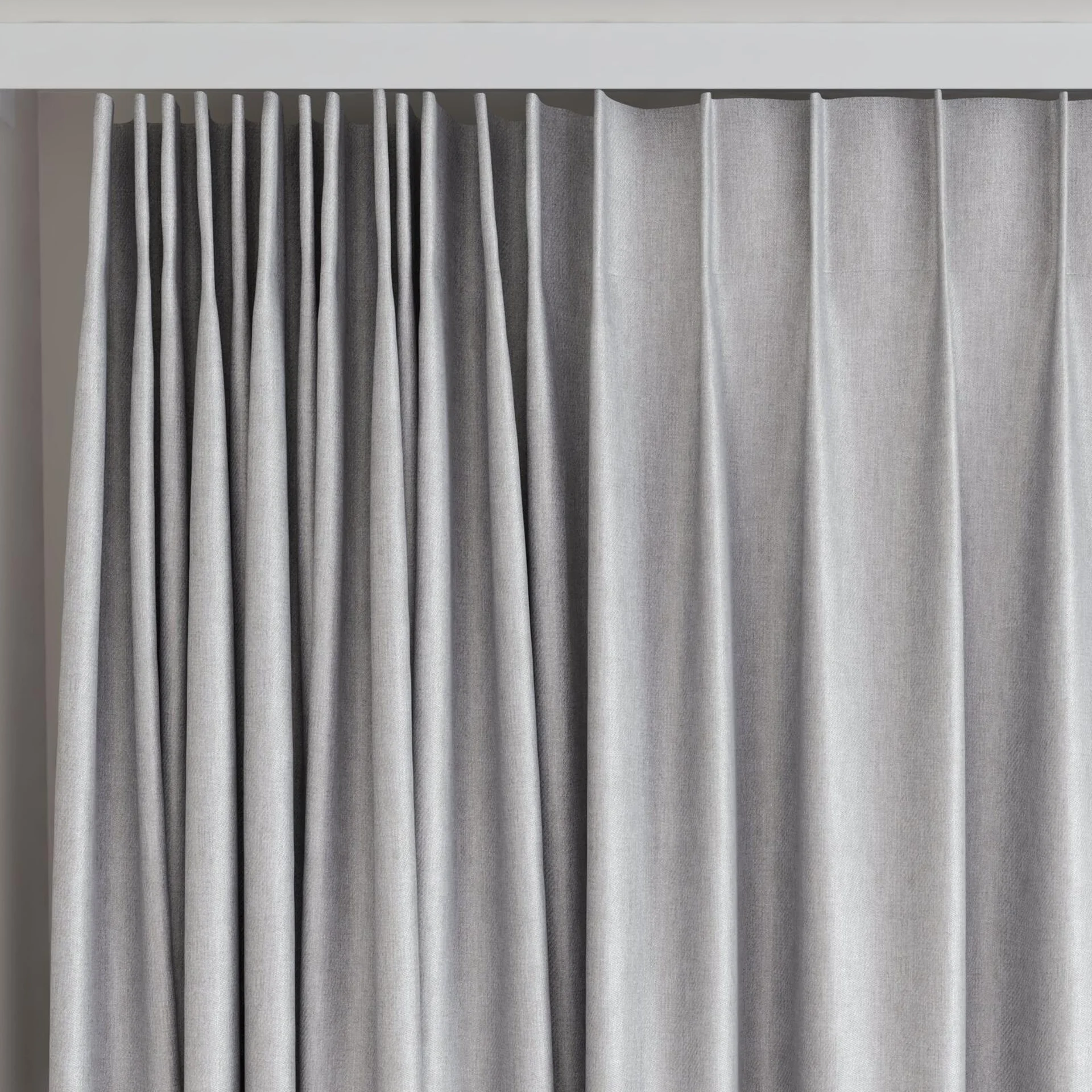 Top view of Fiji Chinchilla, on curtain rail