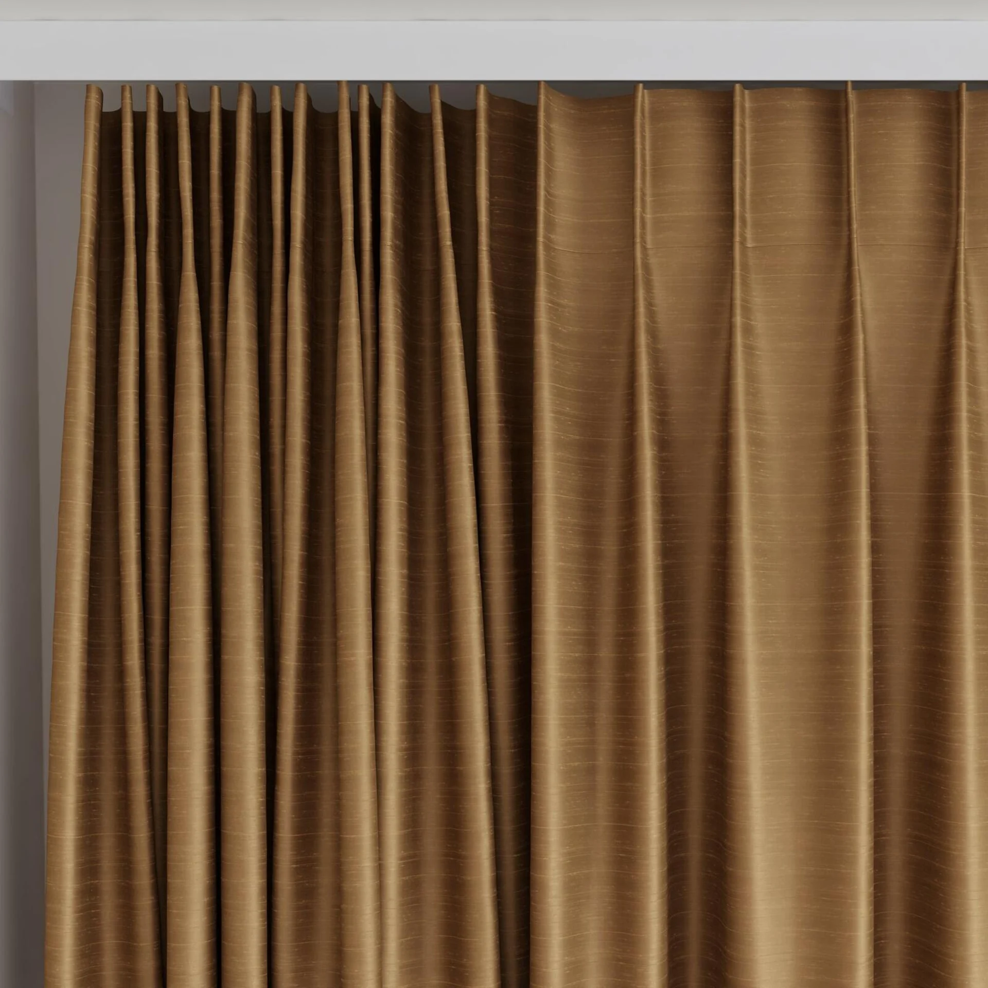 Top view of Silky Chipmunk, on curtain rail
