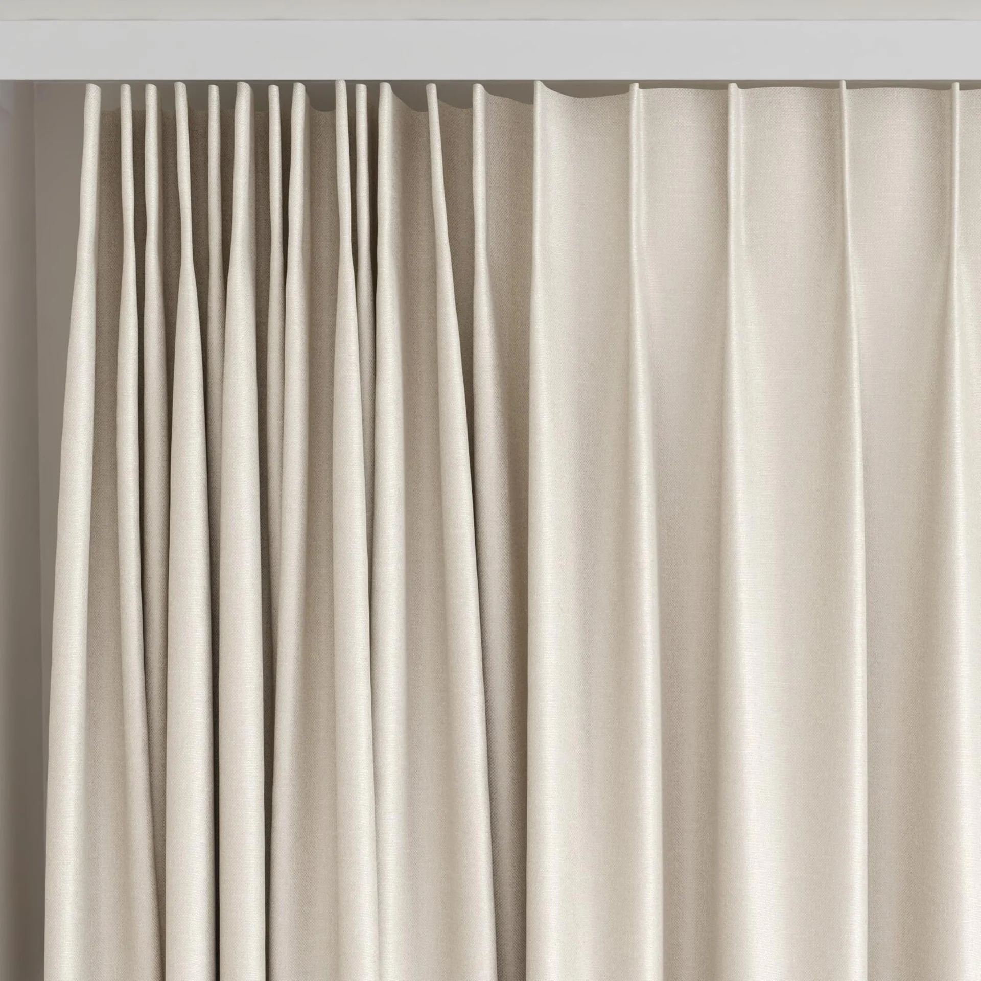 Top view of Banksia Shell, on curtain rail