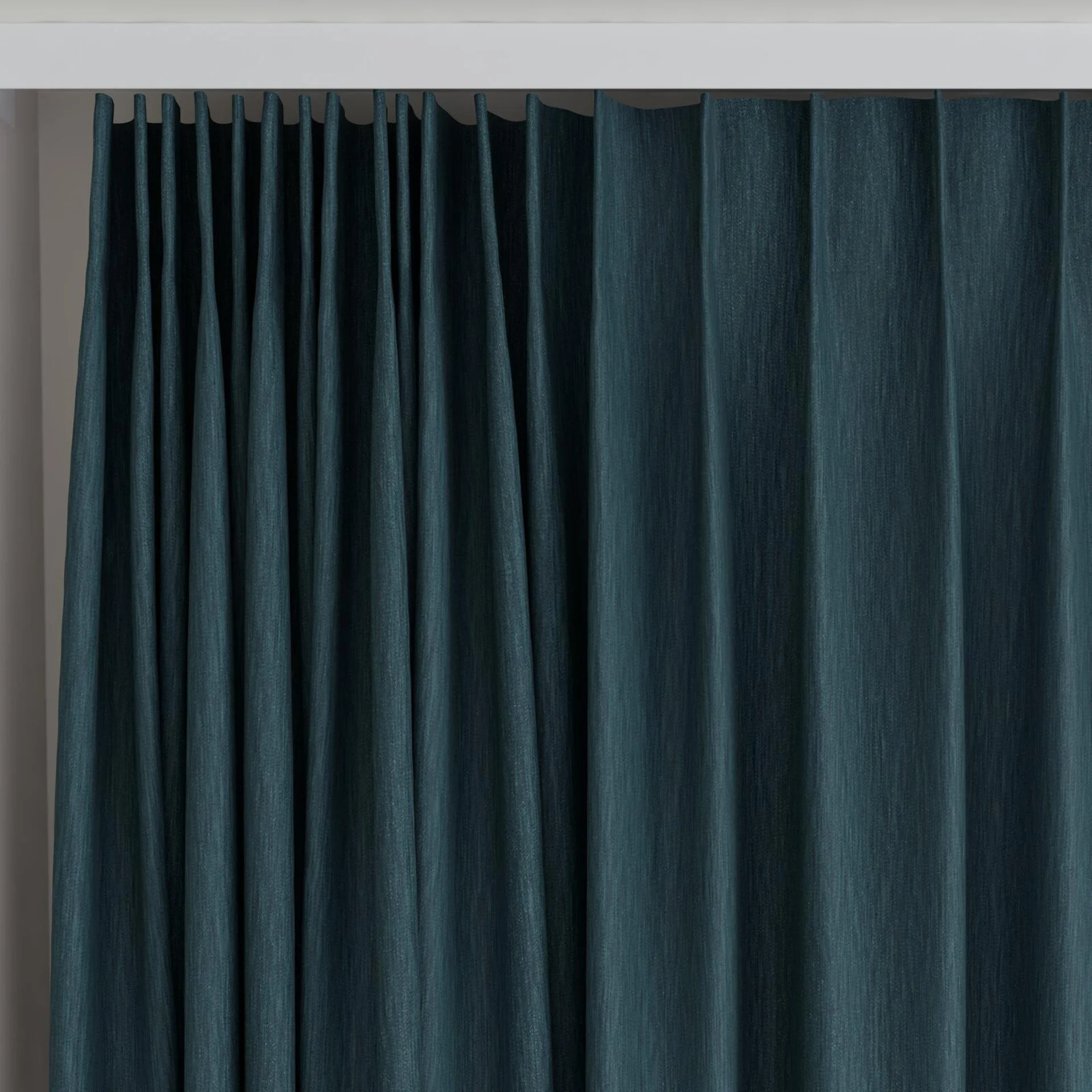 Top view of Tuxedo Peacock, on curtain rail