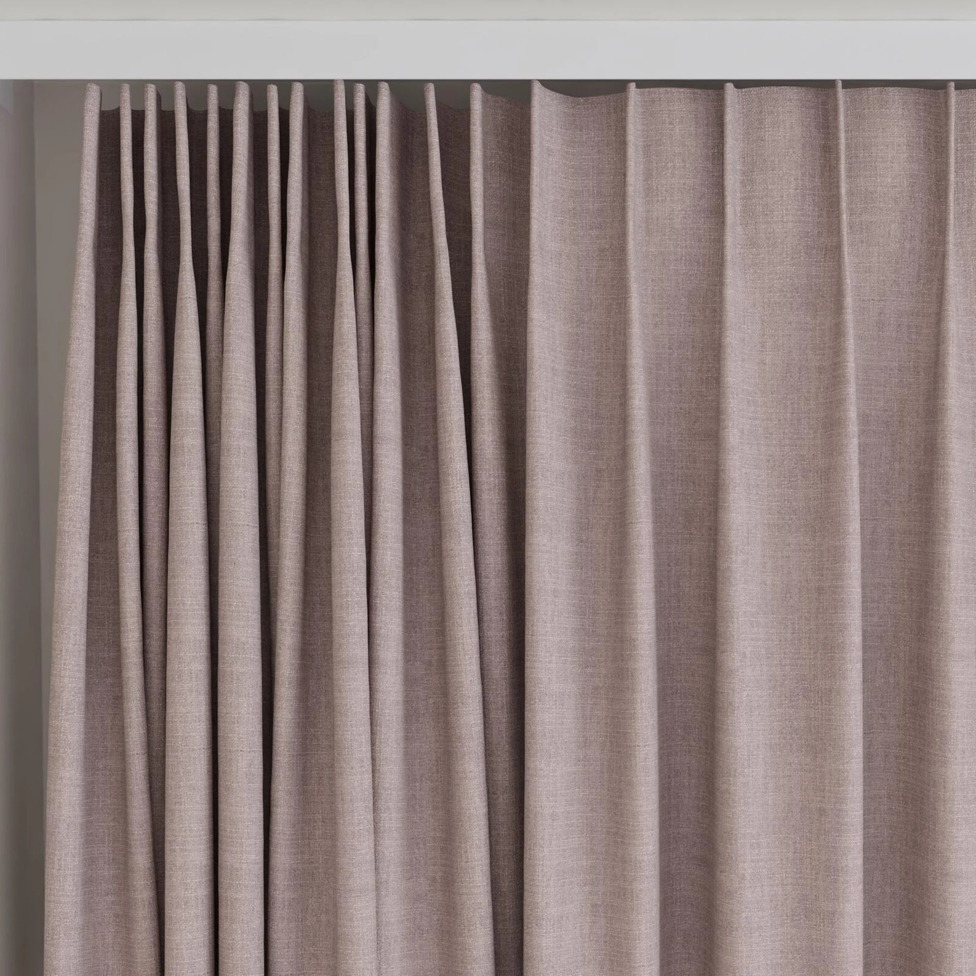 Top view of Mauritius Orchid, on curtain rail