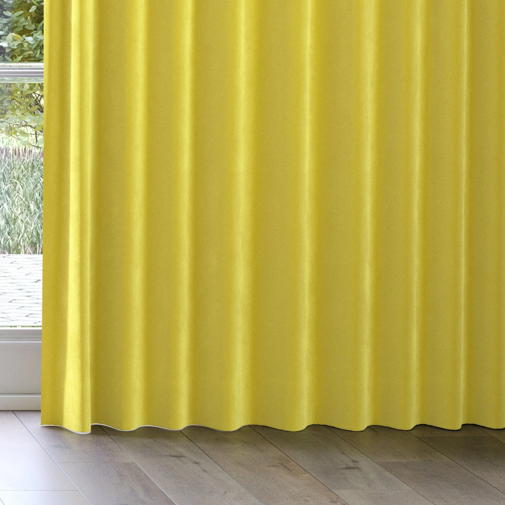 Bottom view of Moon Mimosa, on curtain rail