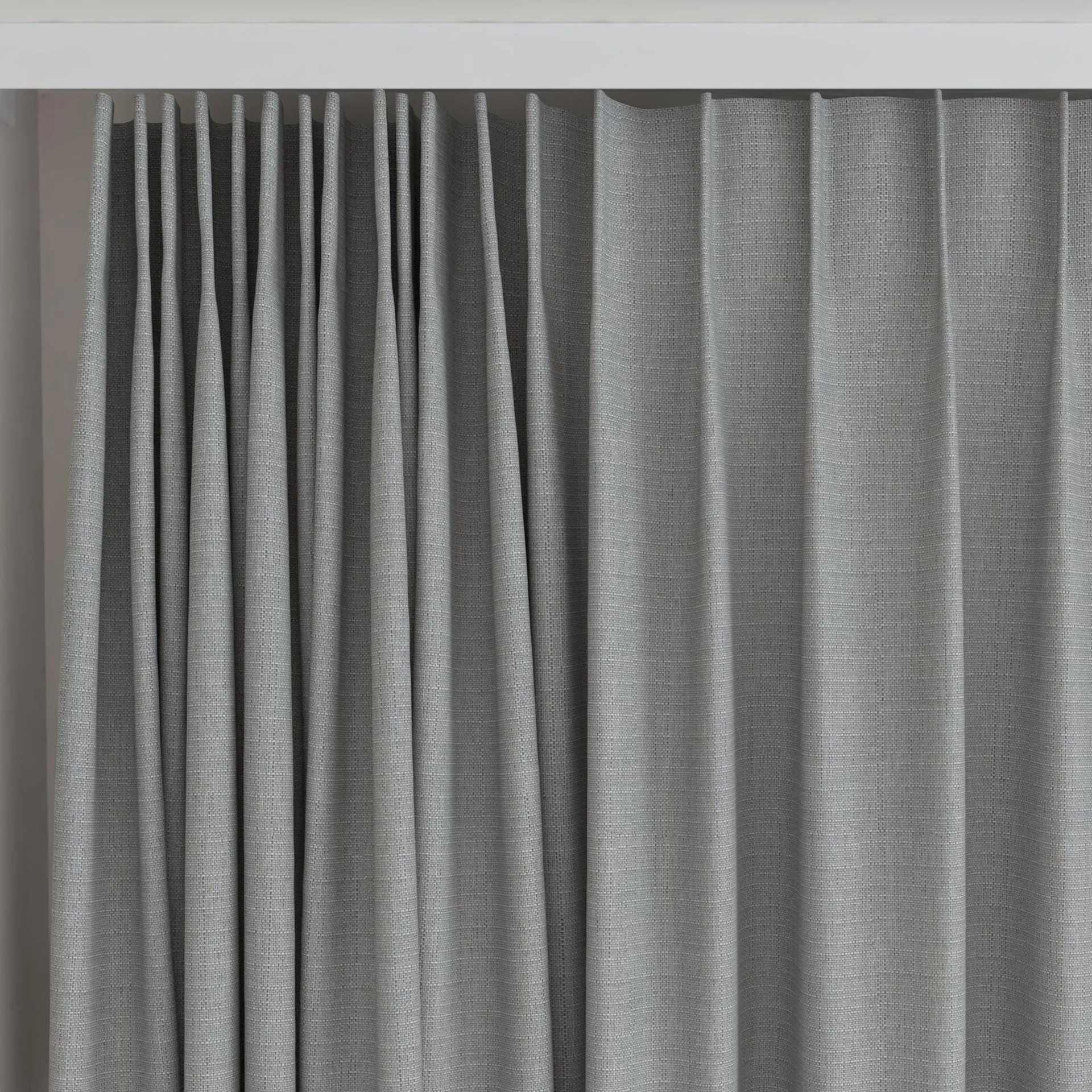 Top view of Darkness Chinchilla, on curtain rail