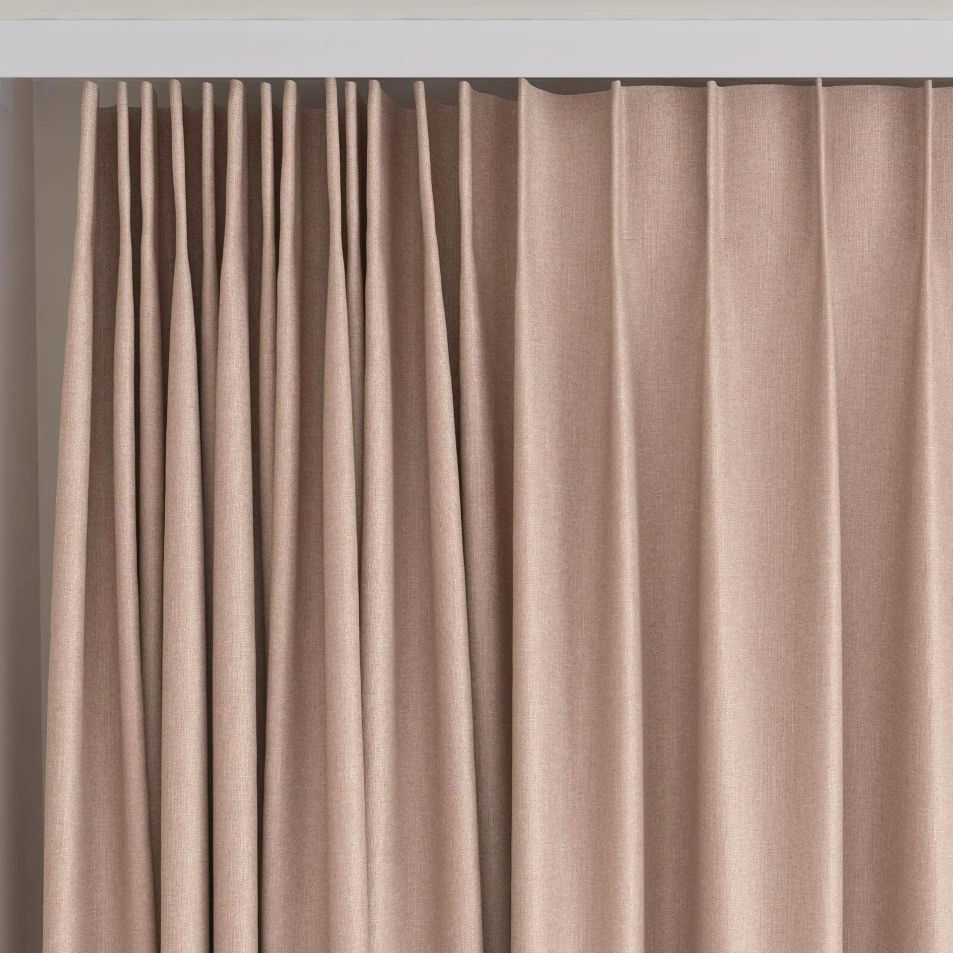 Top view of Excel Orchid, on curtain rail