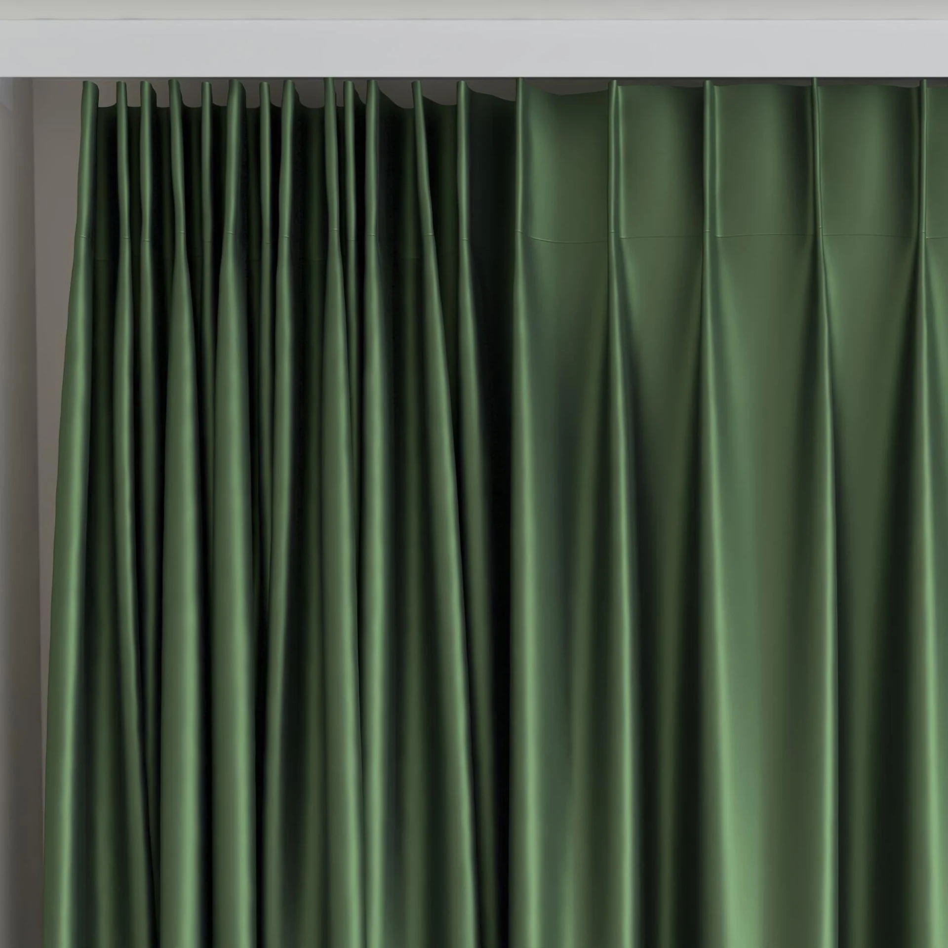 Top view of North Face Fern, on curtain rail