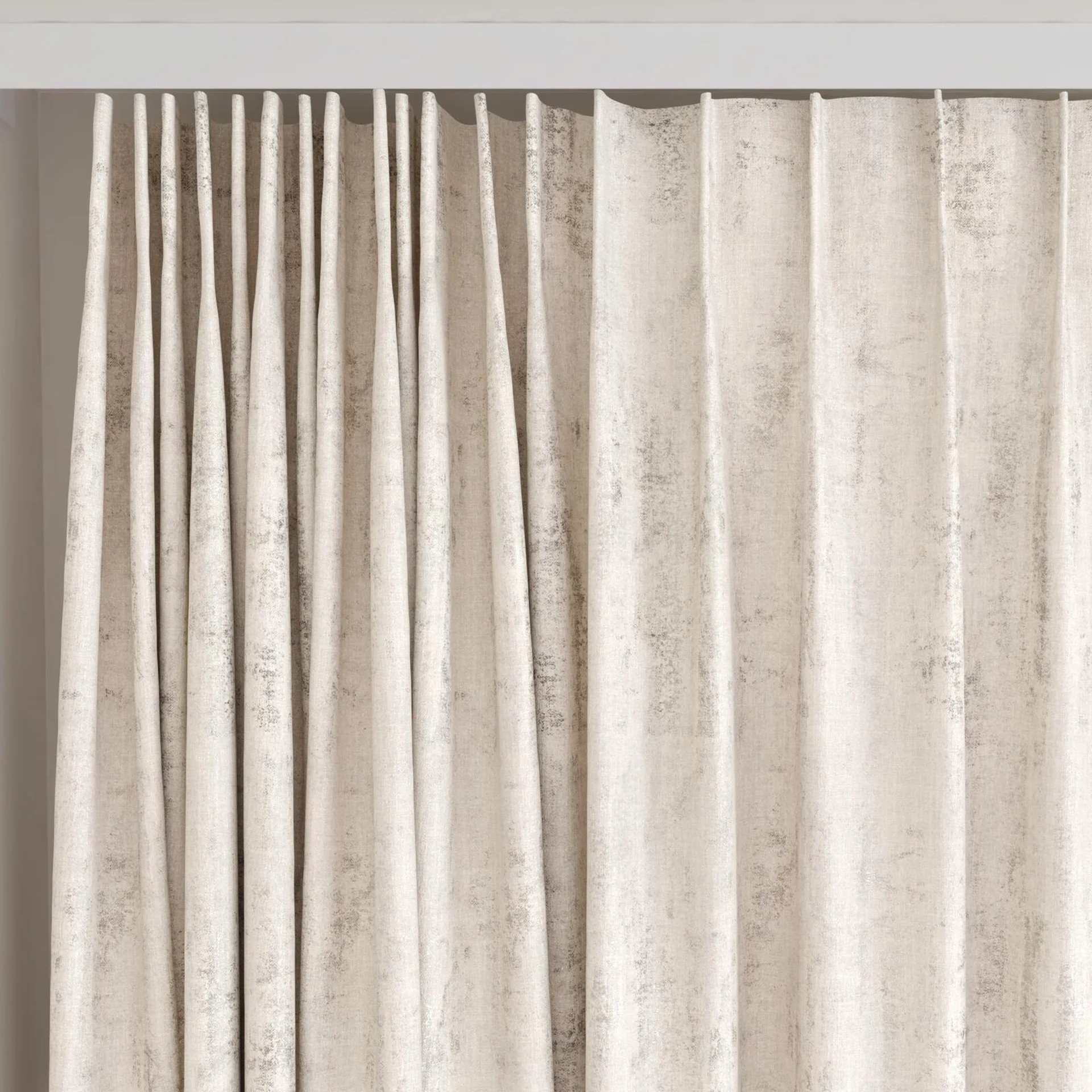 Top view of Distinguished Oyster, on curtain rail