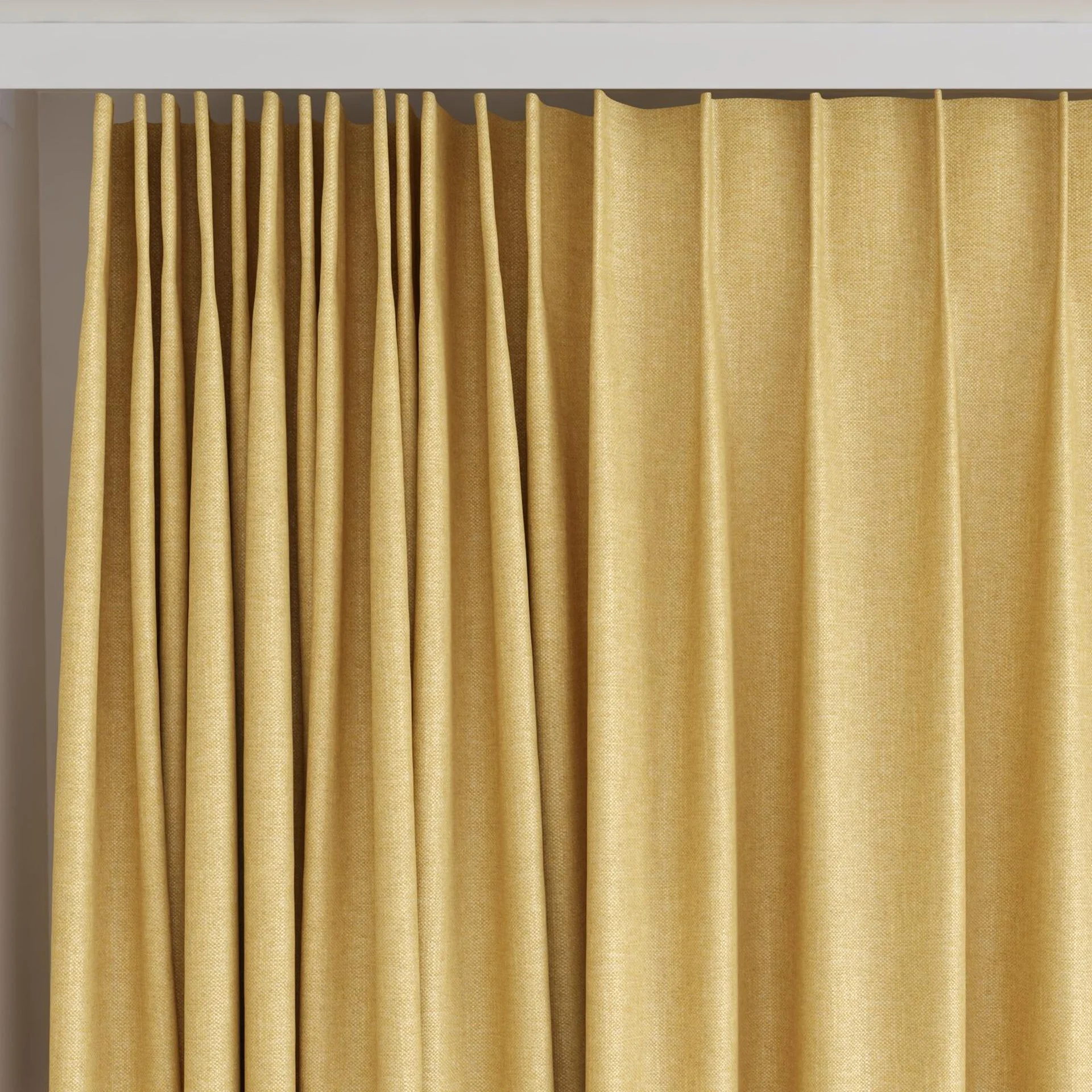 Top view of Bronco Sunflower, on curtain rail