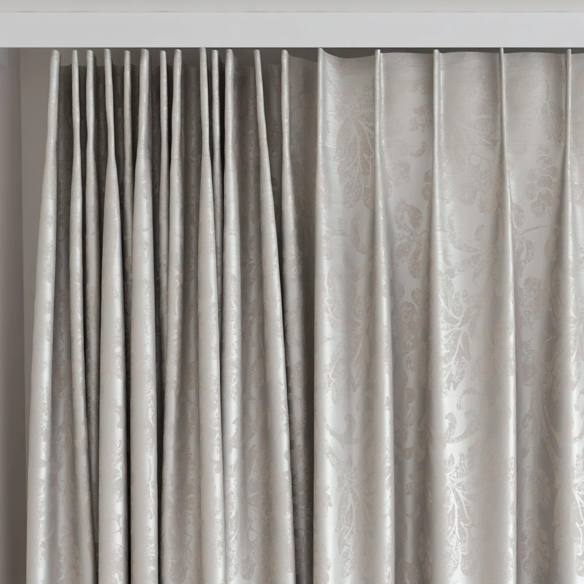 Top view of Florentine Fossil, on curtain rail