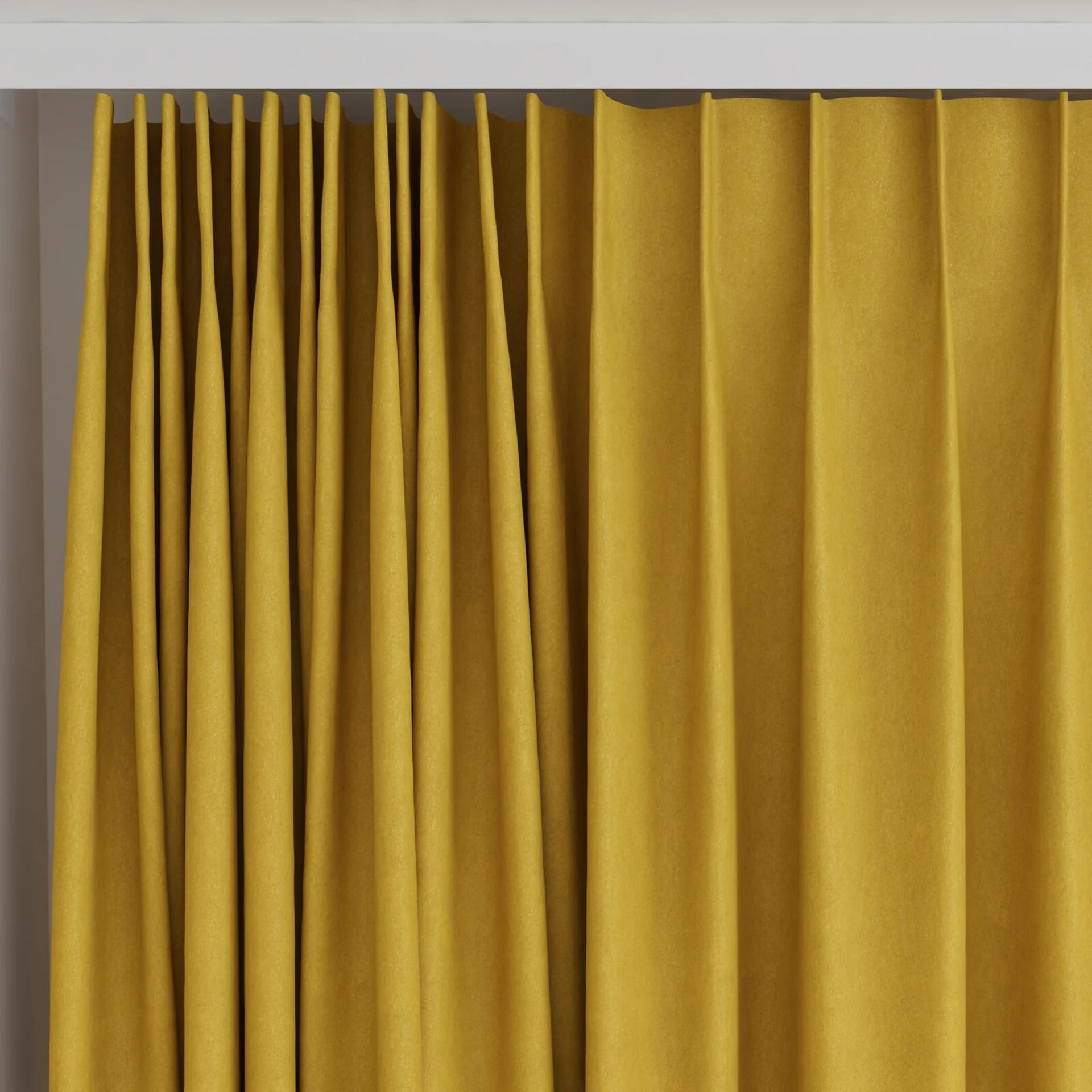 Top view of Lech Mustard, on curtain rail