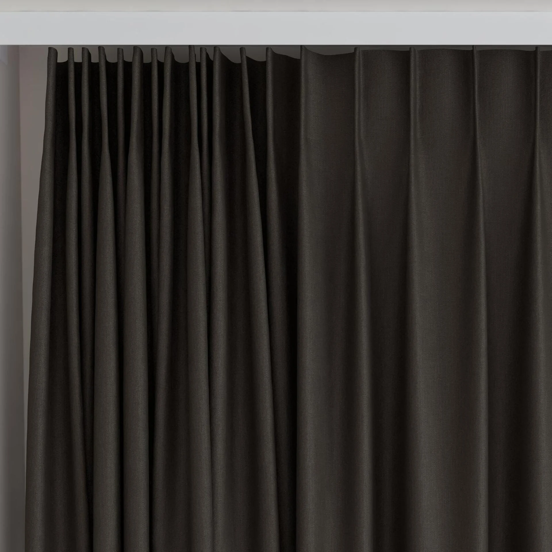 Top view of Eternal Clove, on curtain rail