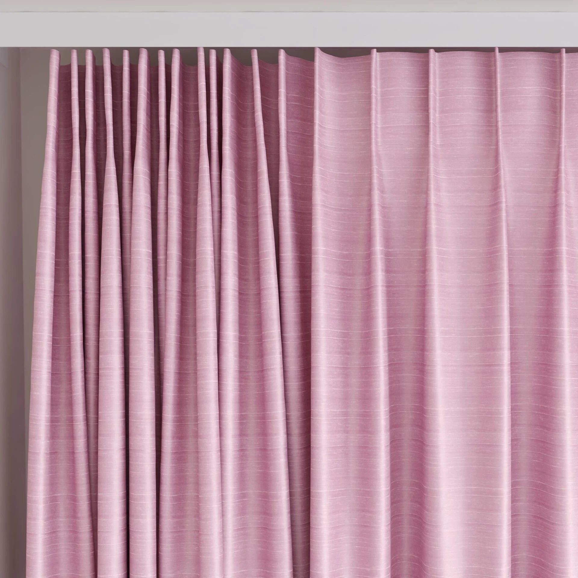 Top view of Silky Rose, on curtain rail