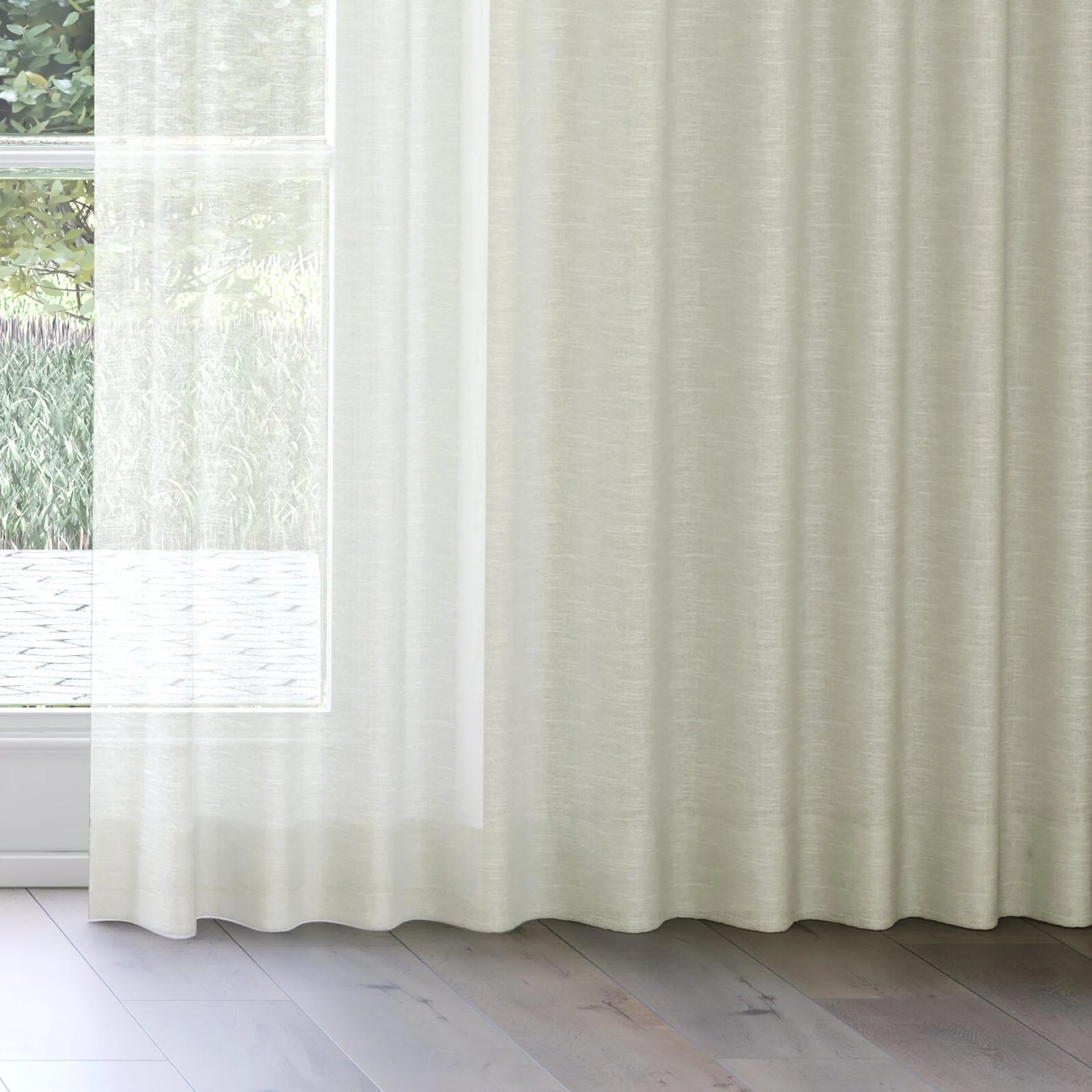 Bottom view of Angelic Tea, on curtain rail