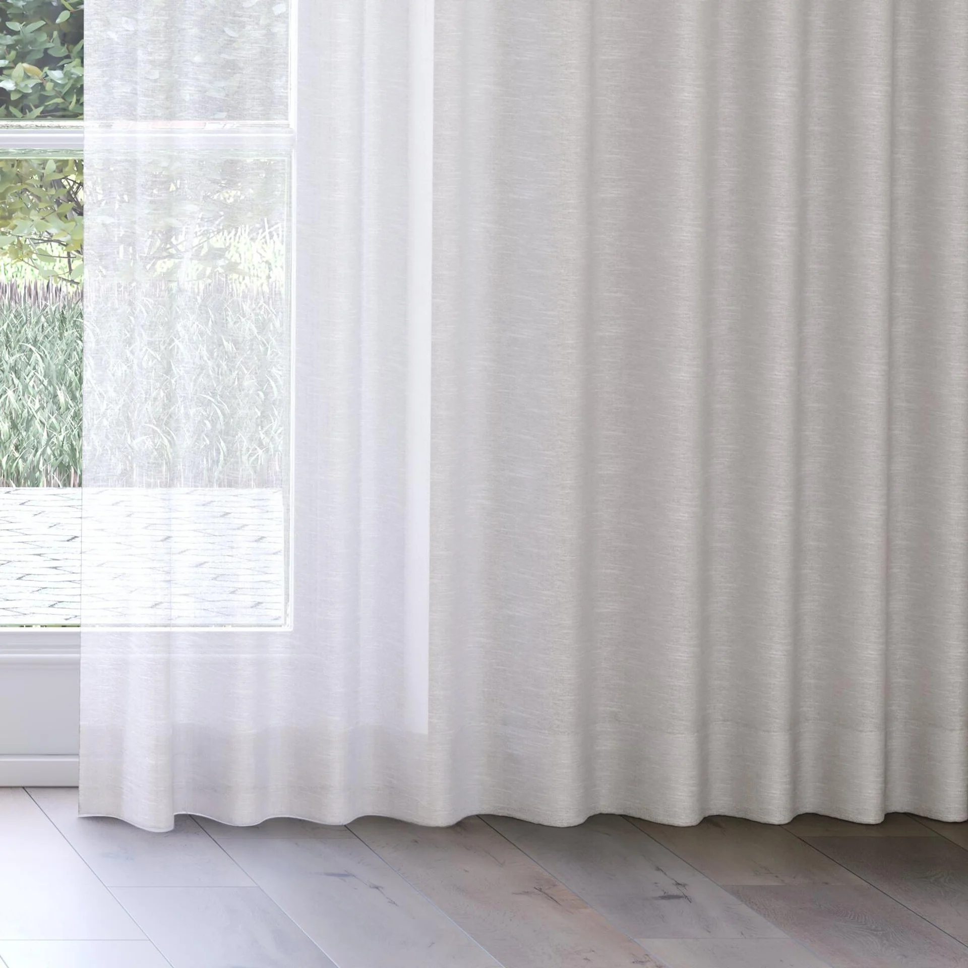 Bottom view of Angelic Oyster, on curtain rail