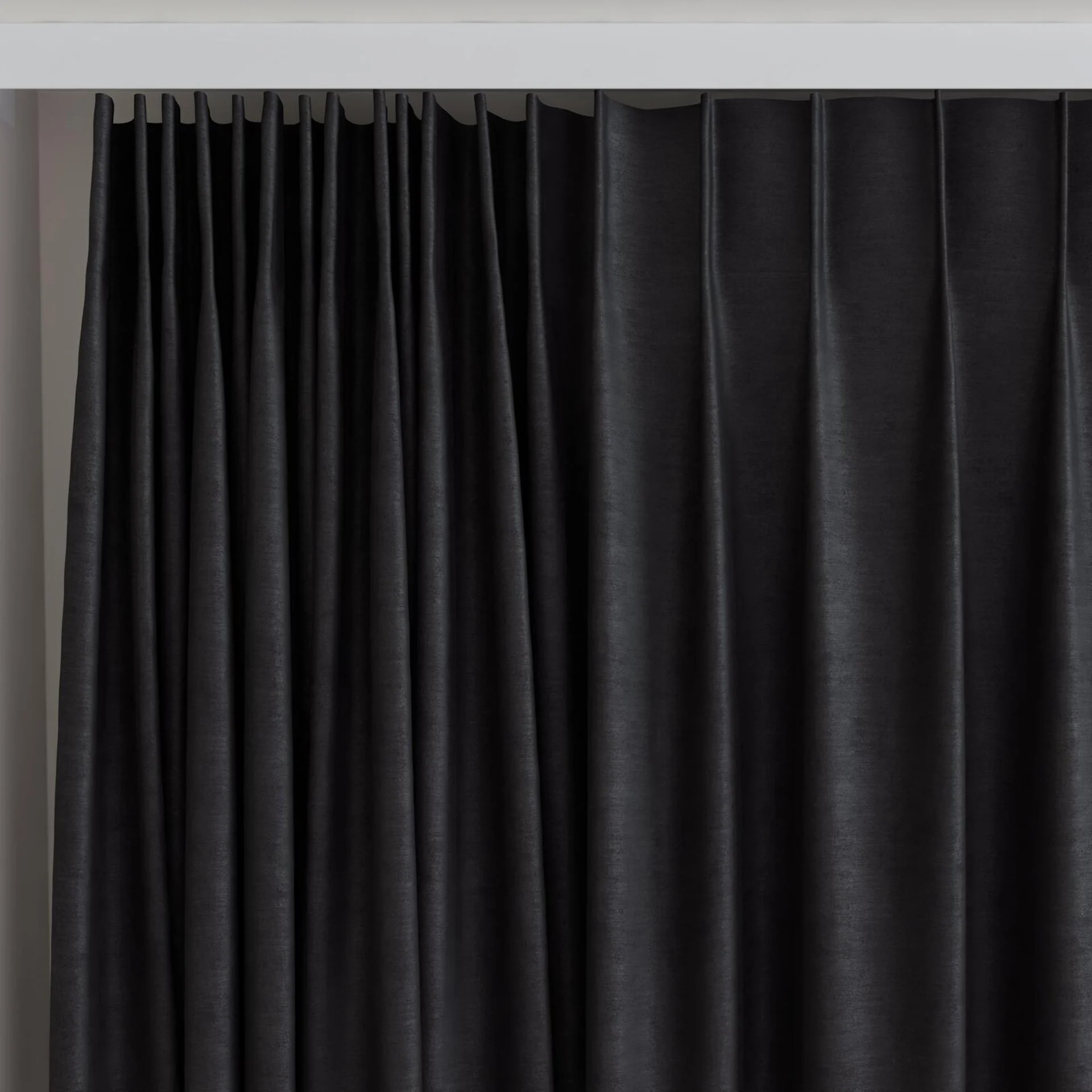 Top view of Baron Caviar, on curtain rail