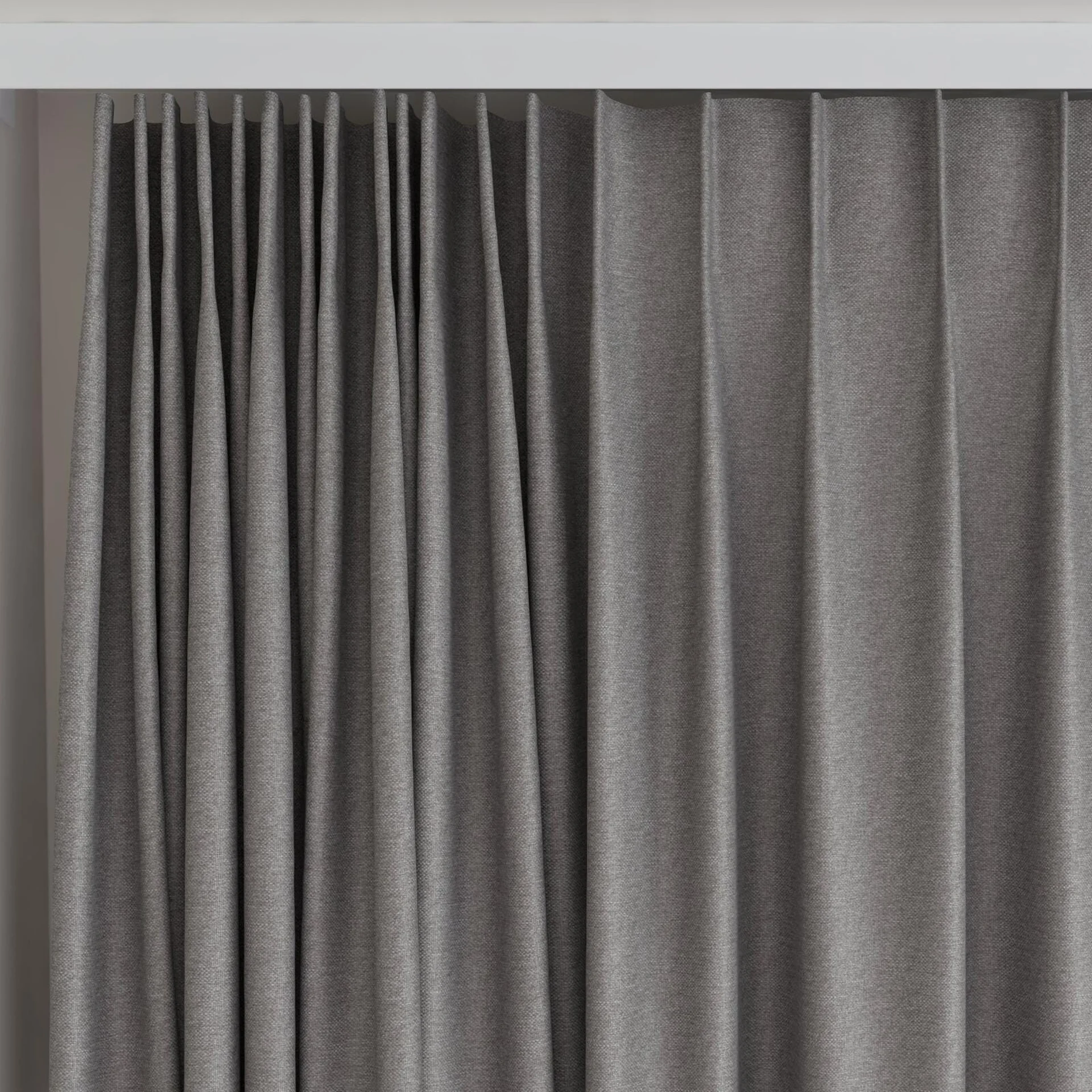 Top view of Duede Chinchilla, on curtain rail