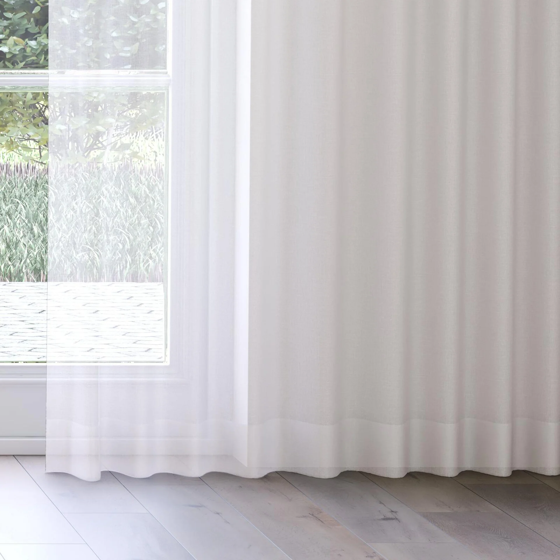 Bottom view of Cavalier Oyster, on curtain rail