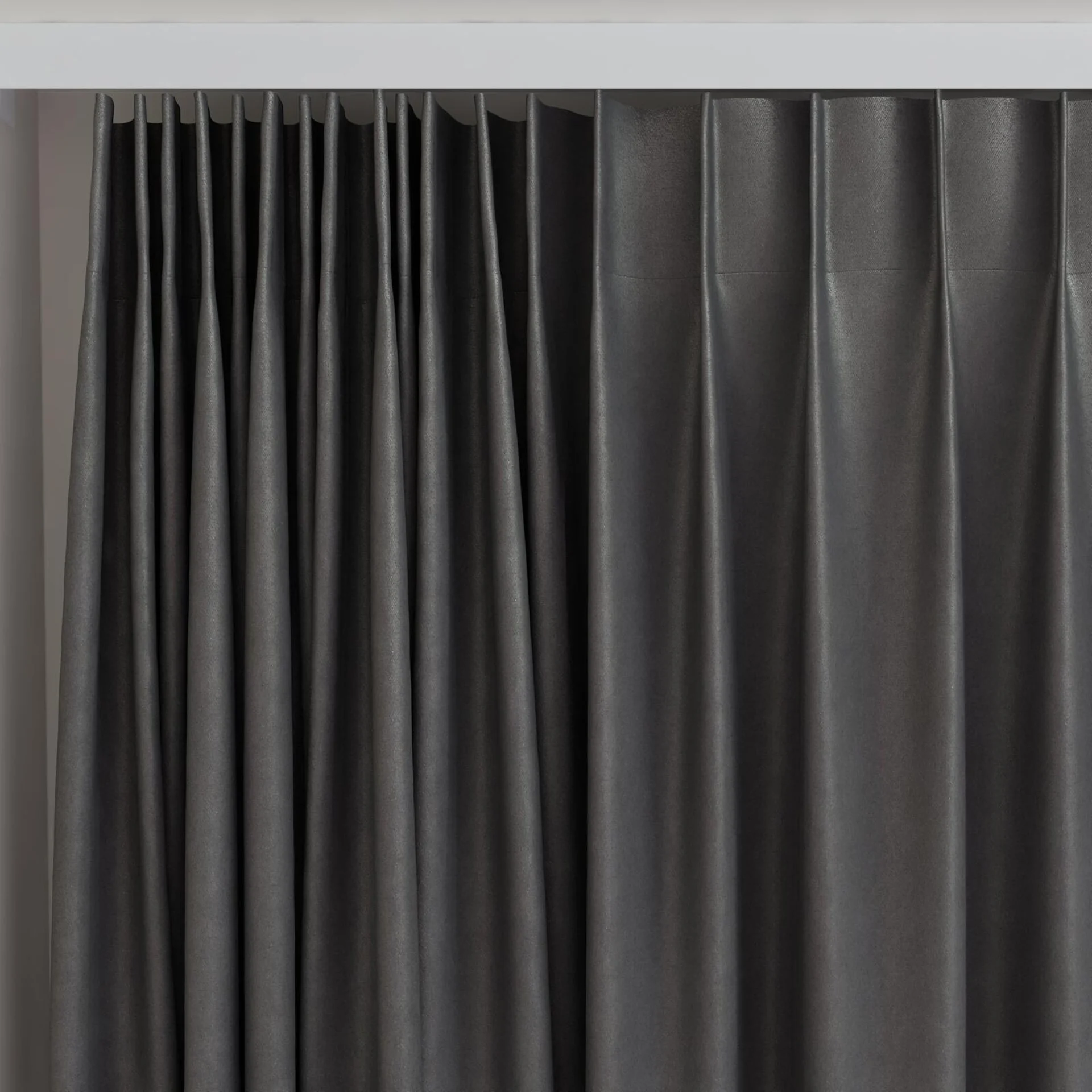 Top view of Lech Elephant, on curtain rail