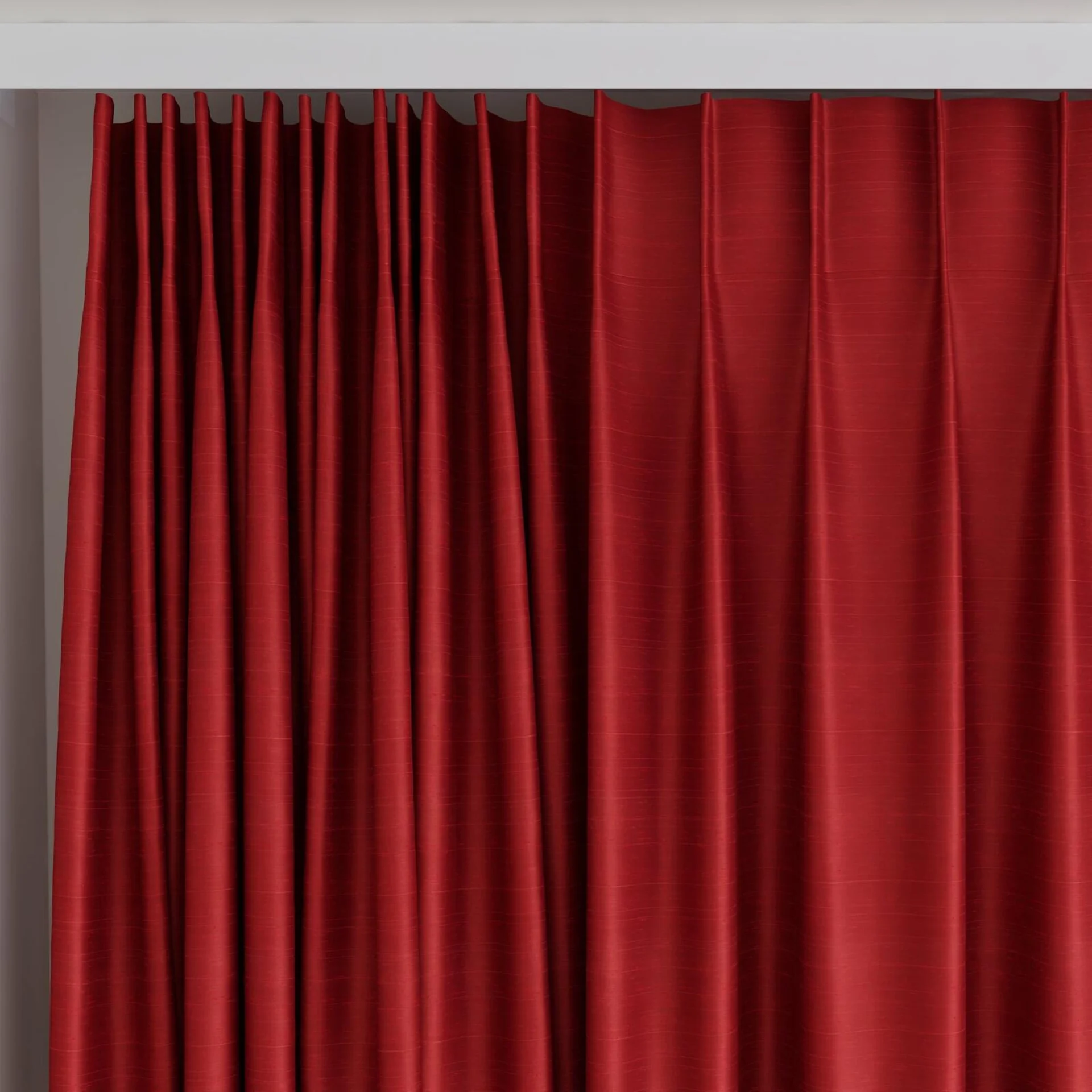Top view of Silky Ruby, on curtain rail