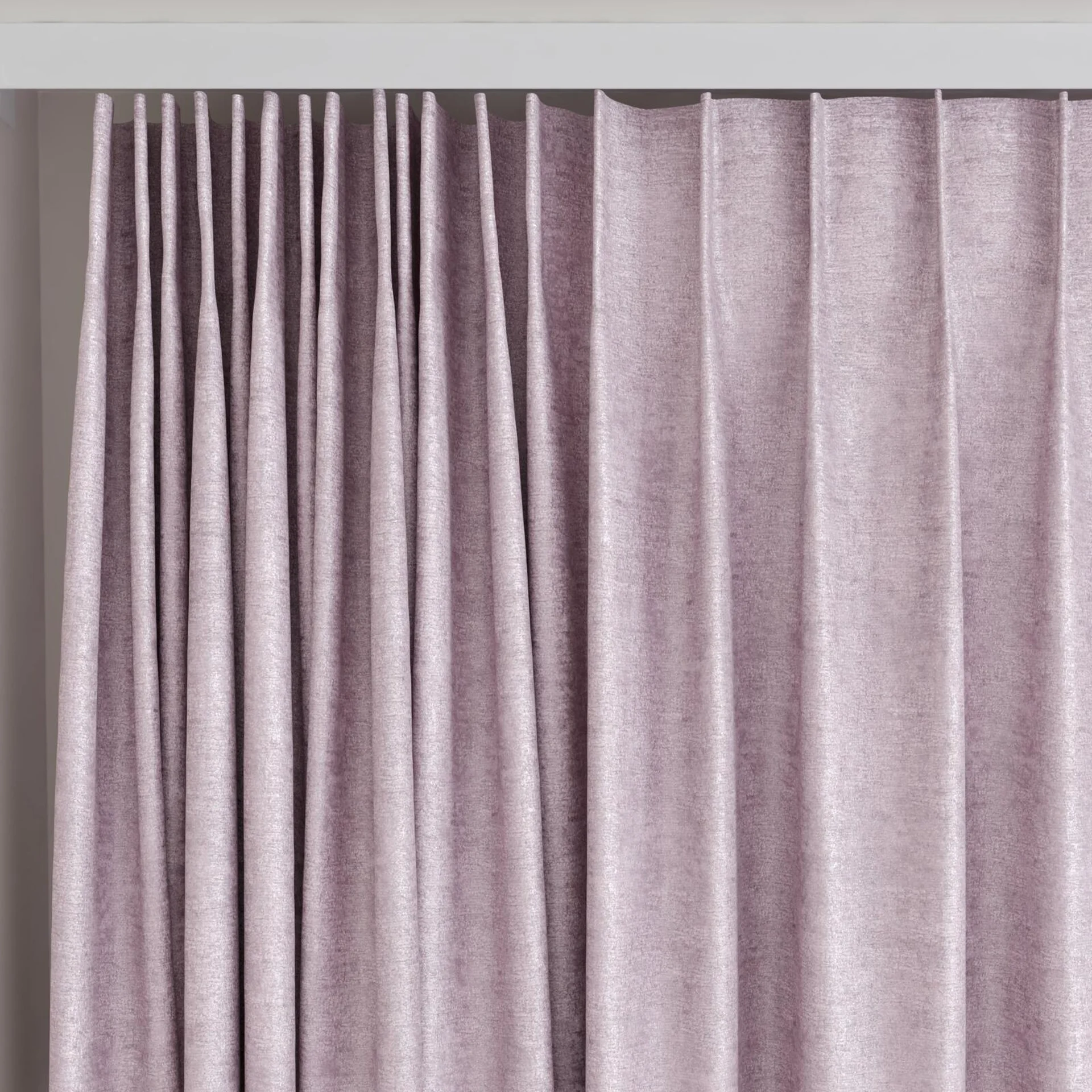 Top view of Hug Orchid, on curtain rail