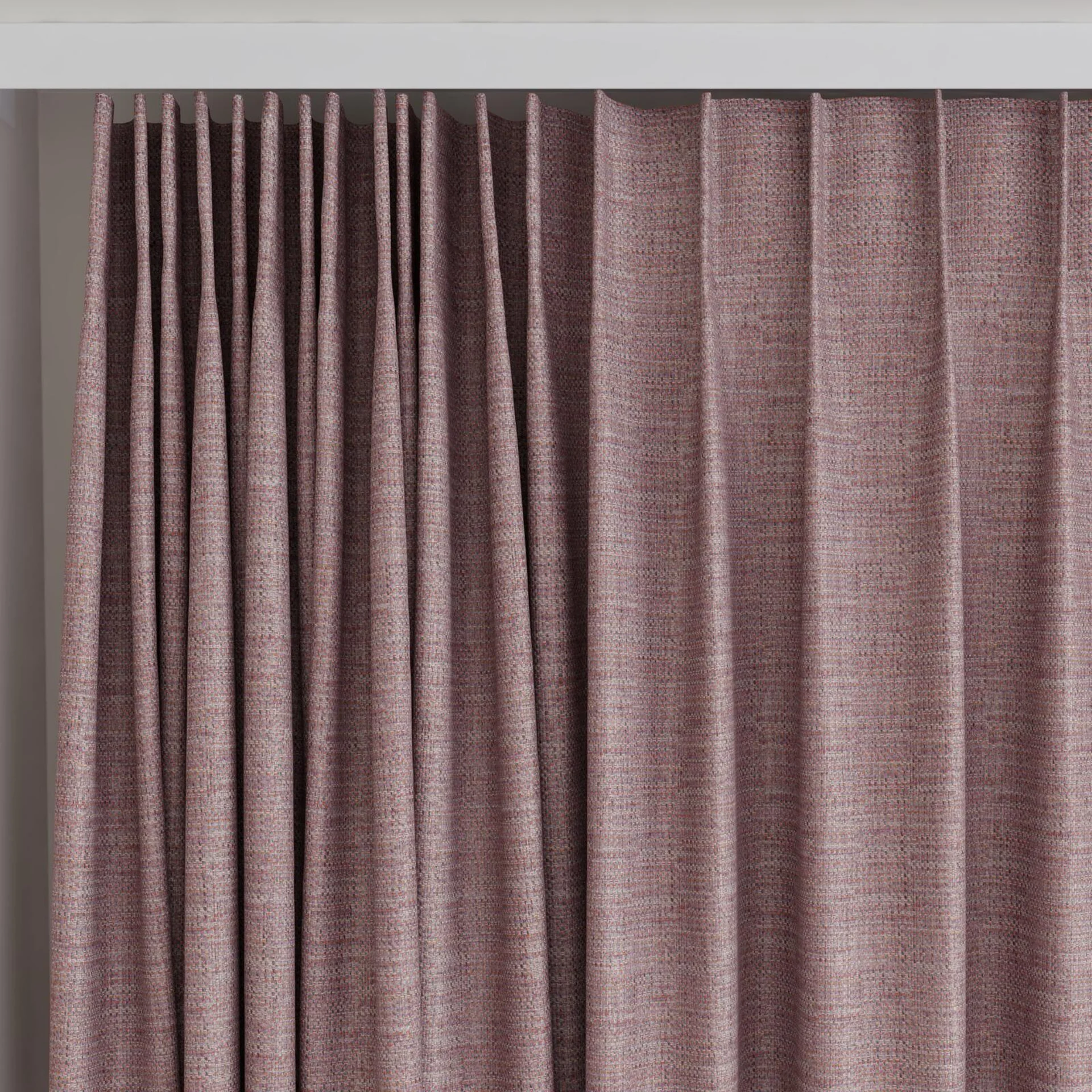 Top view of Latin Raisin, on curtain rail
