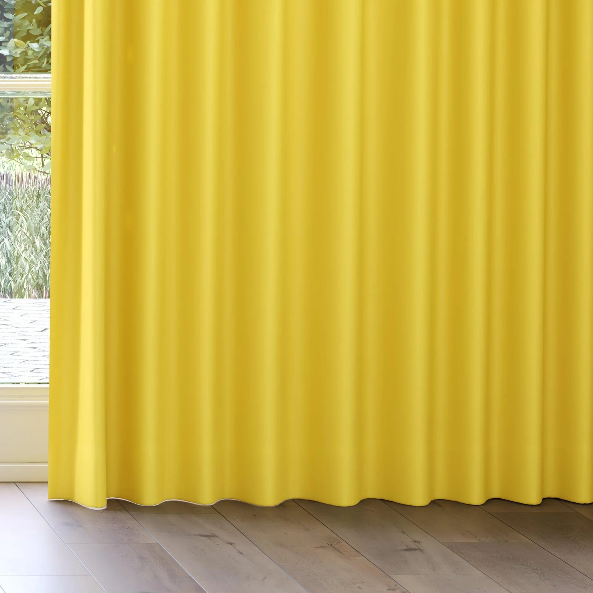 Bottom view of Blockbuster Buttercup, on curtain rail