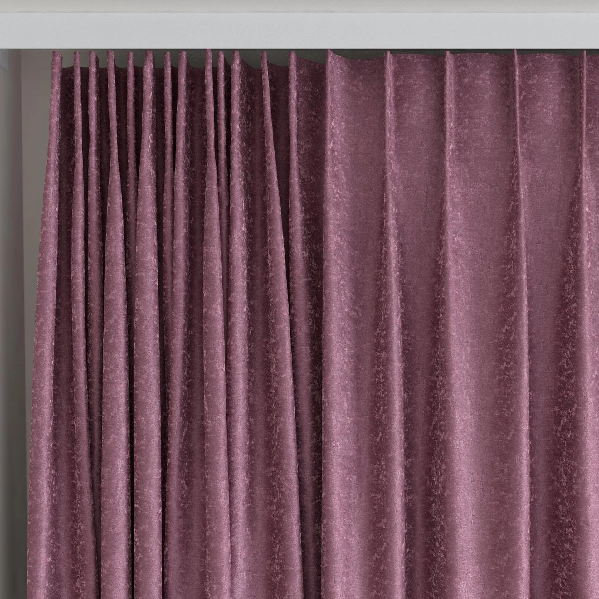 Top view of Brigadier Plum, on curtain rail