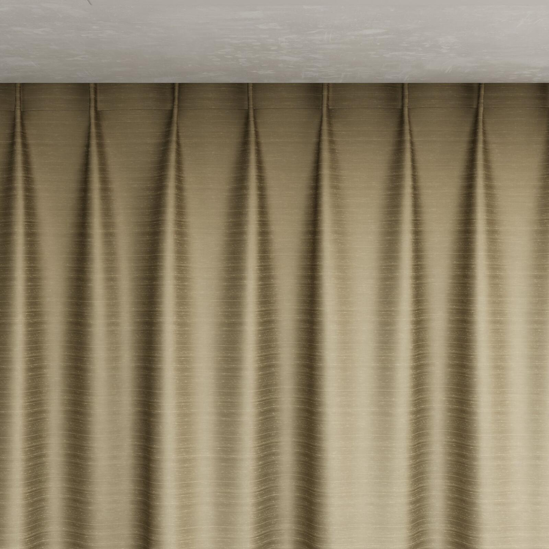 Top view of Silky Oyster, pinch pleat