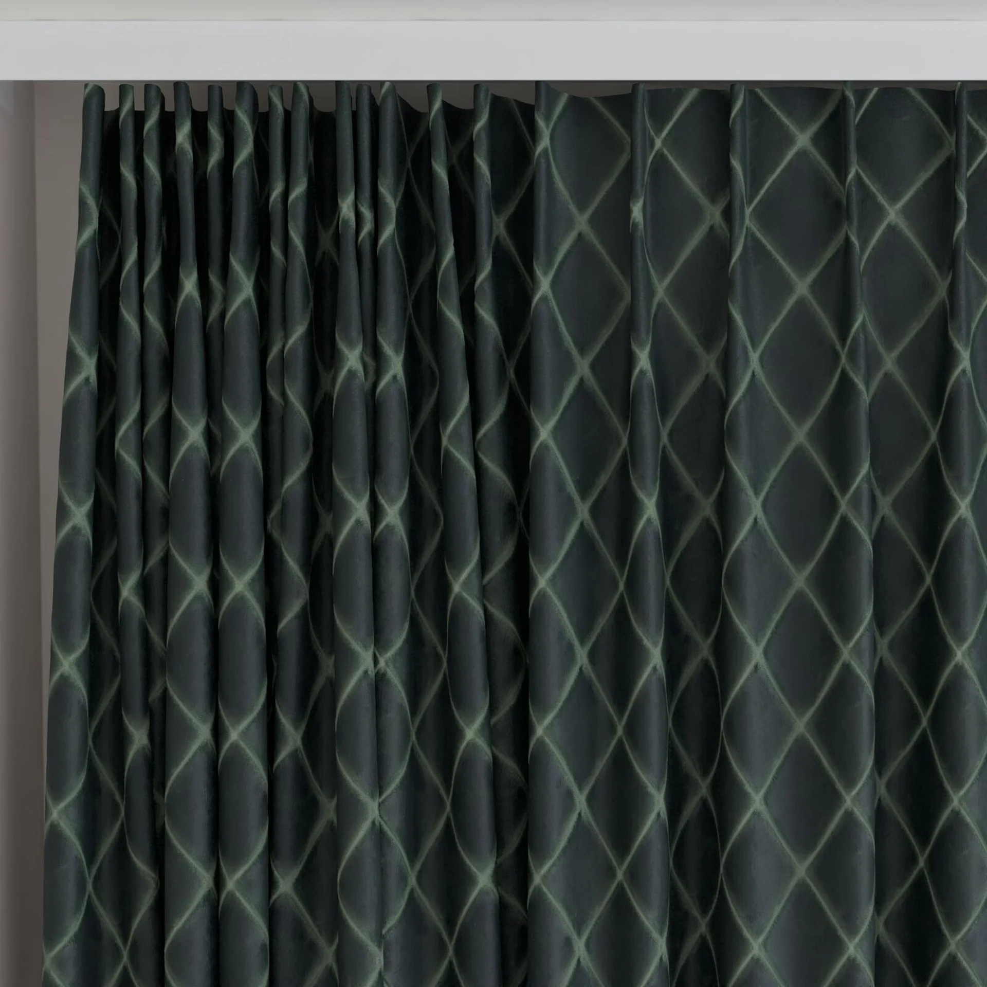 Top view of Pantheon Beetle, on curtain rail