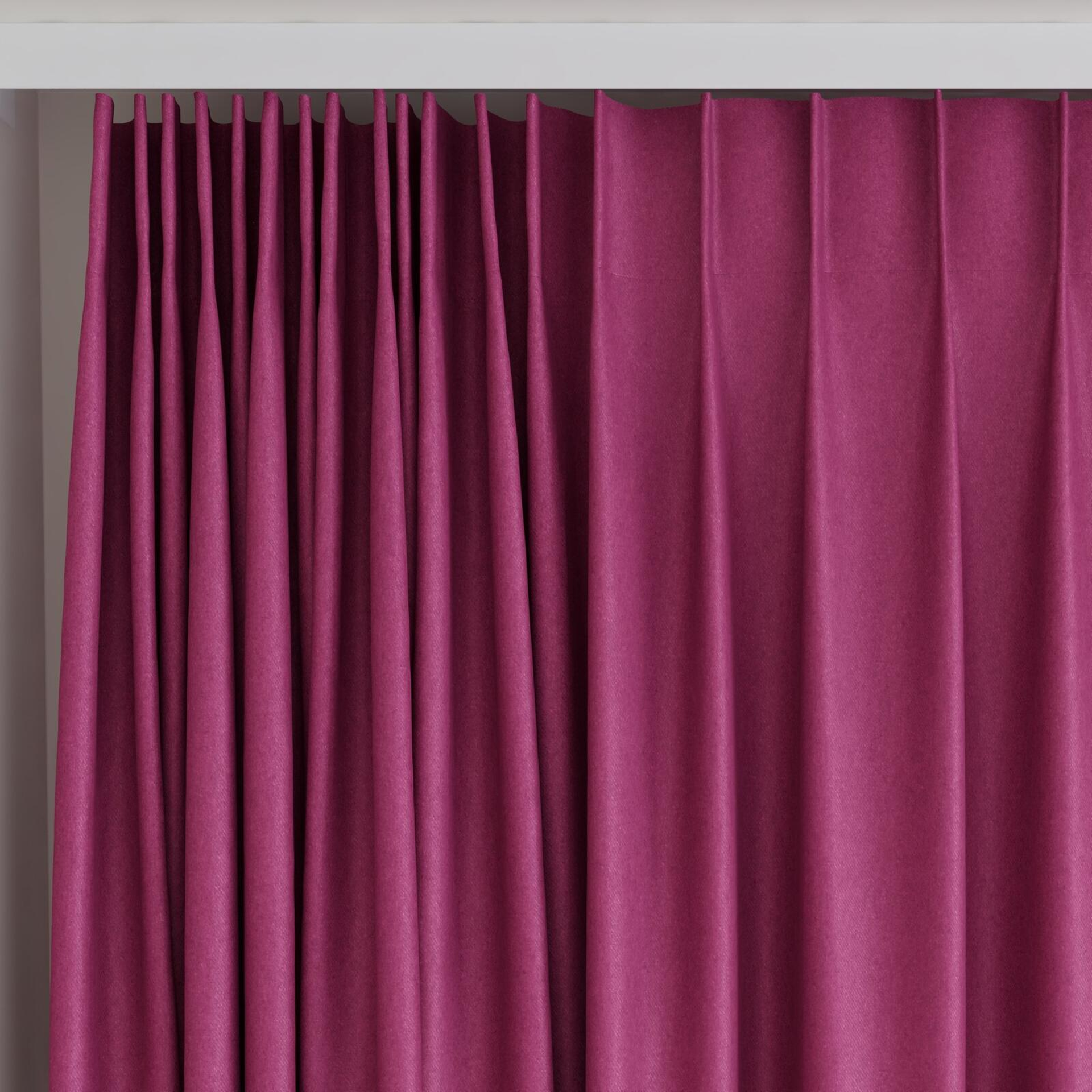 Top view of Woolly/Woolen Beetroot, on curtain rail