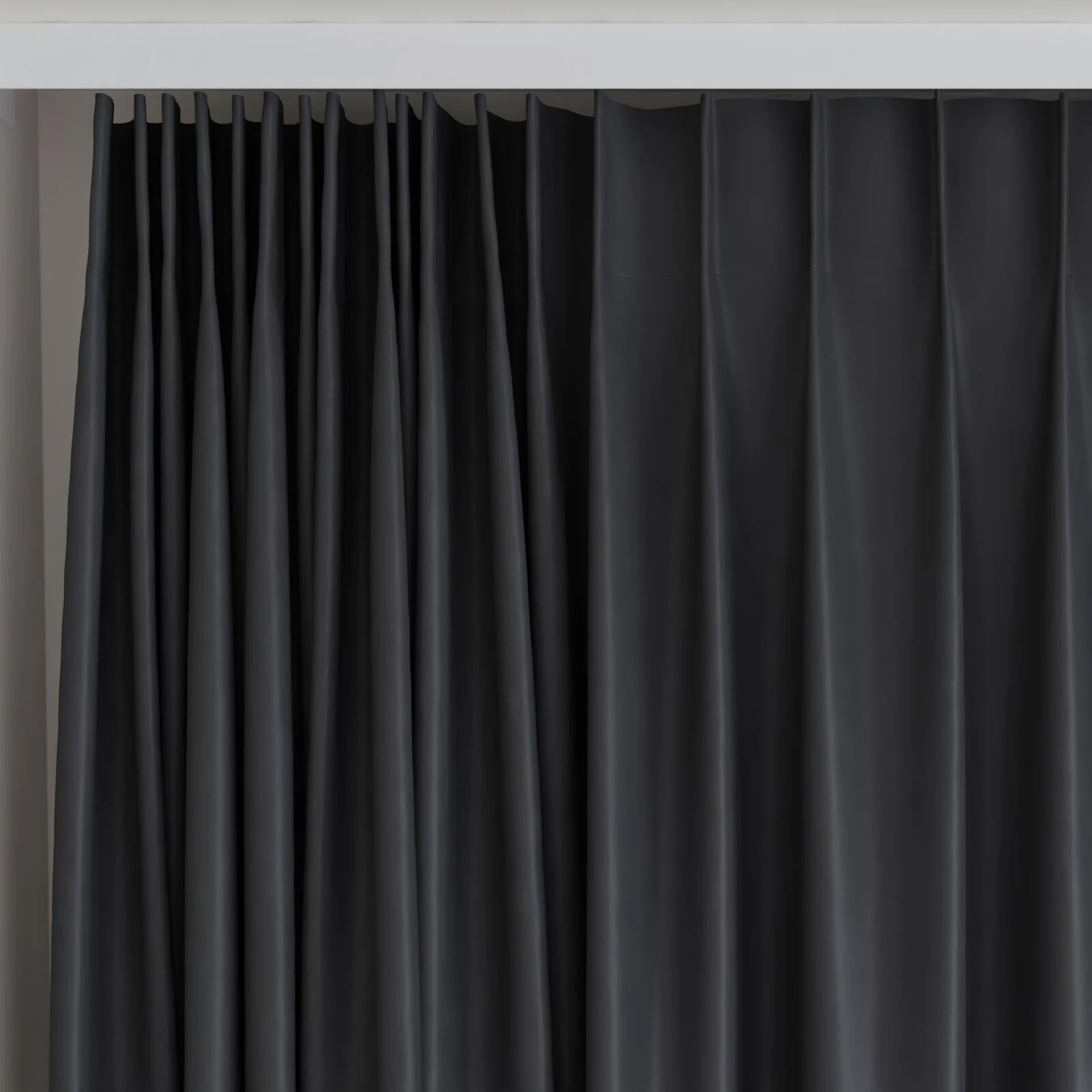 Top view of Blockbuster Caviar, on curtain rail
