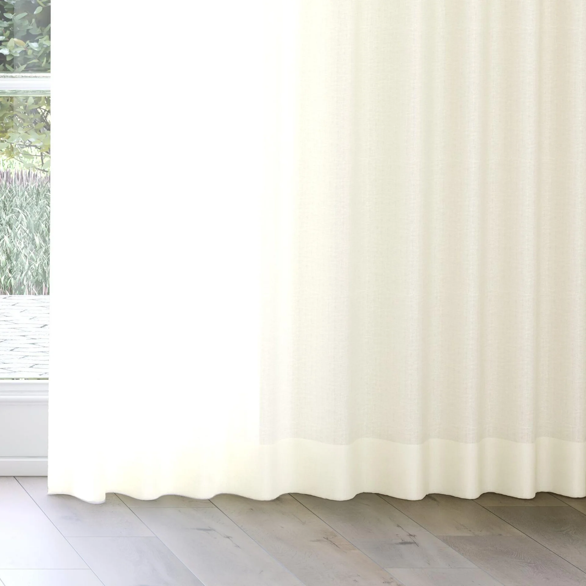 Bottom view of Gossy Cream, on curtain rail