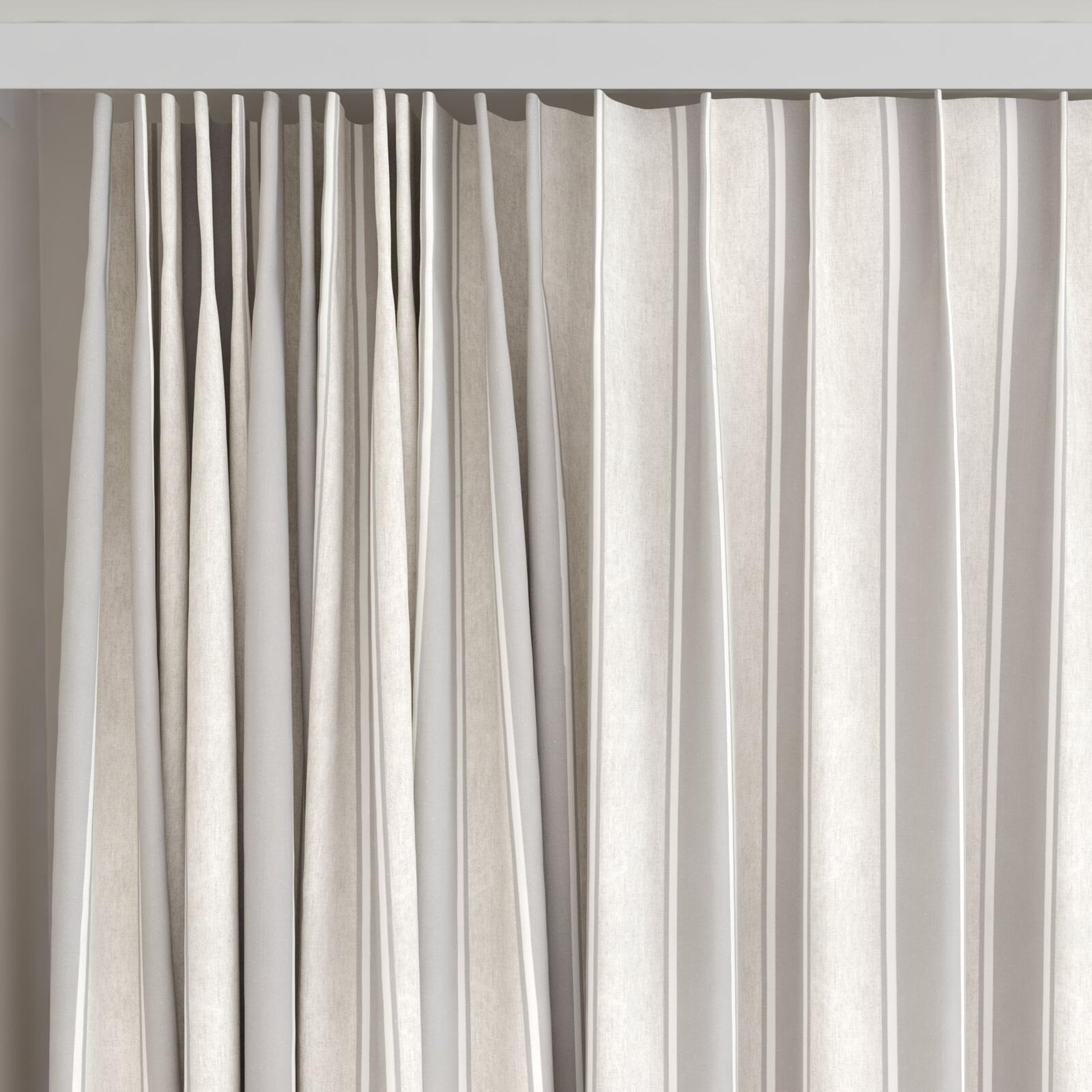 Top view of Broad Stripe Dove, on curtain rail