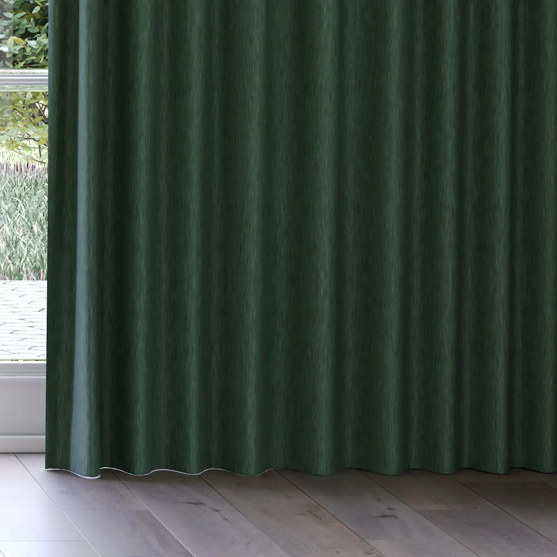Bottom view of Tuxedo Ivy, on curtain rail