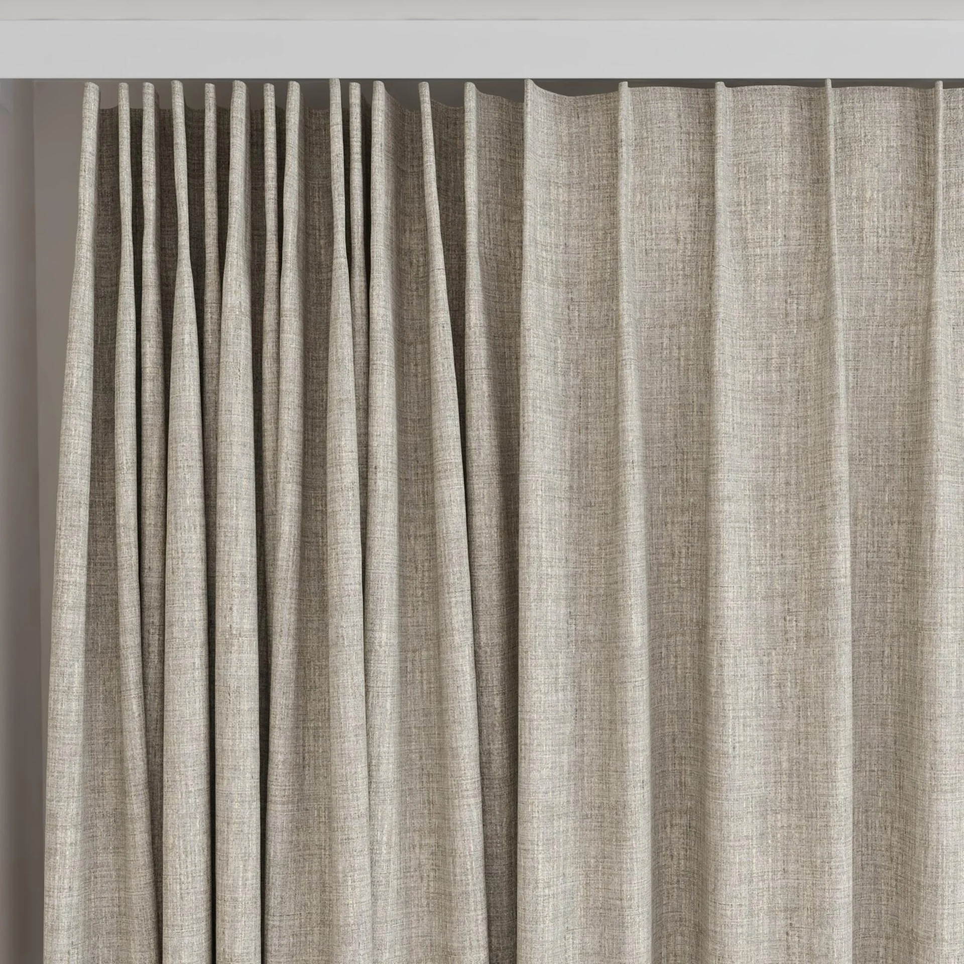 Top view of Dryland Oyster, on curtain rail