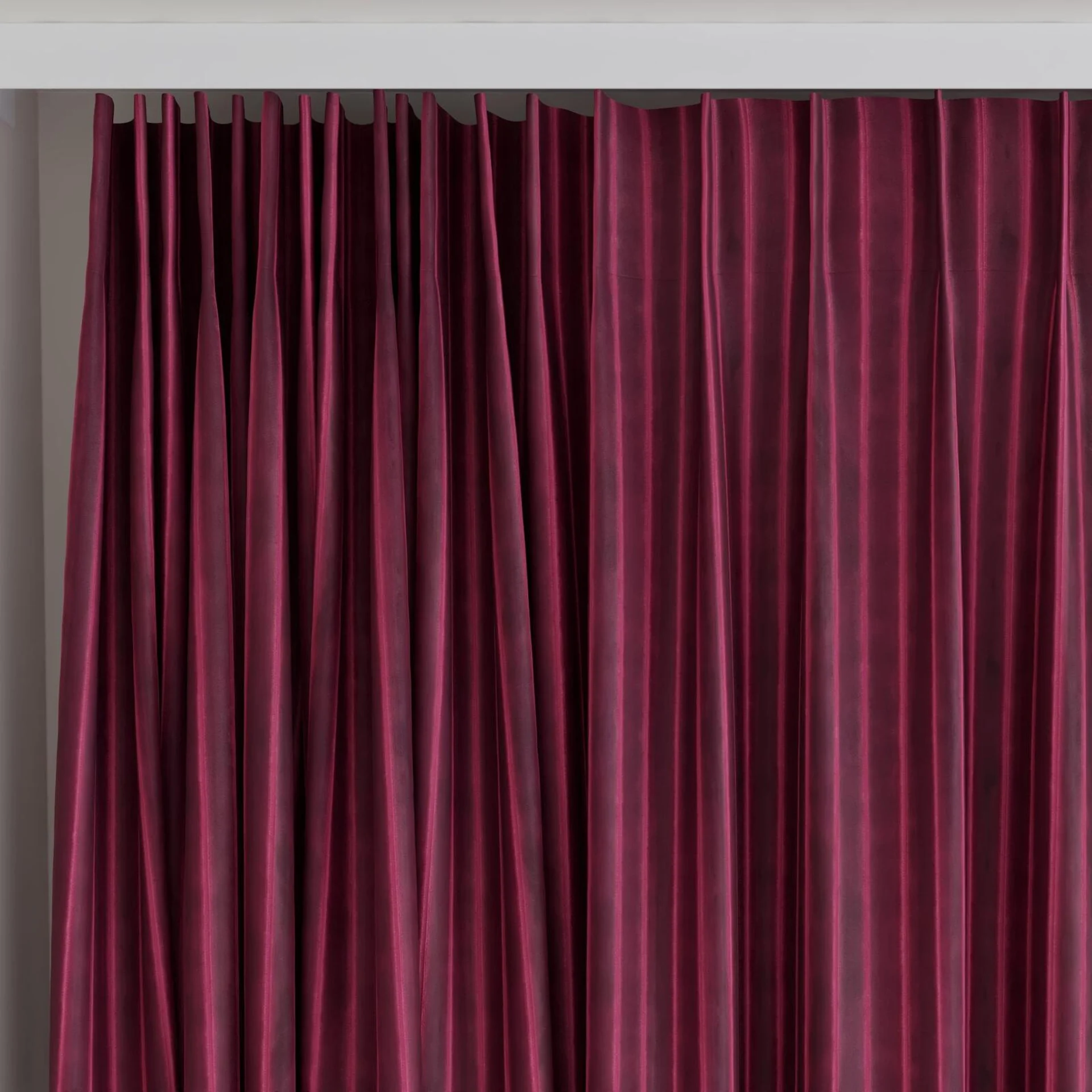 Top view of Cordial Tulip, on curtain rail