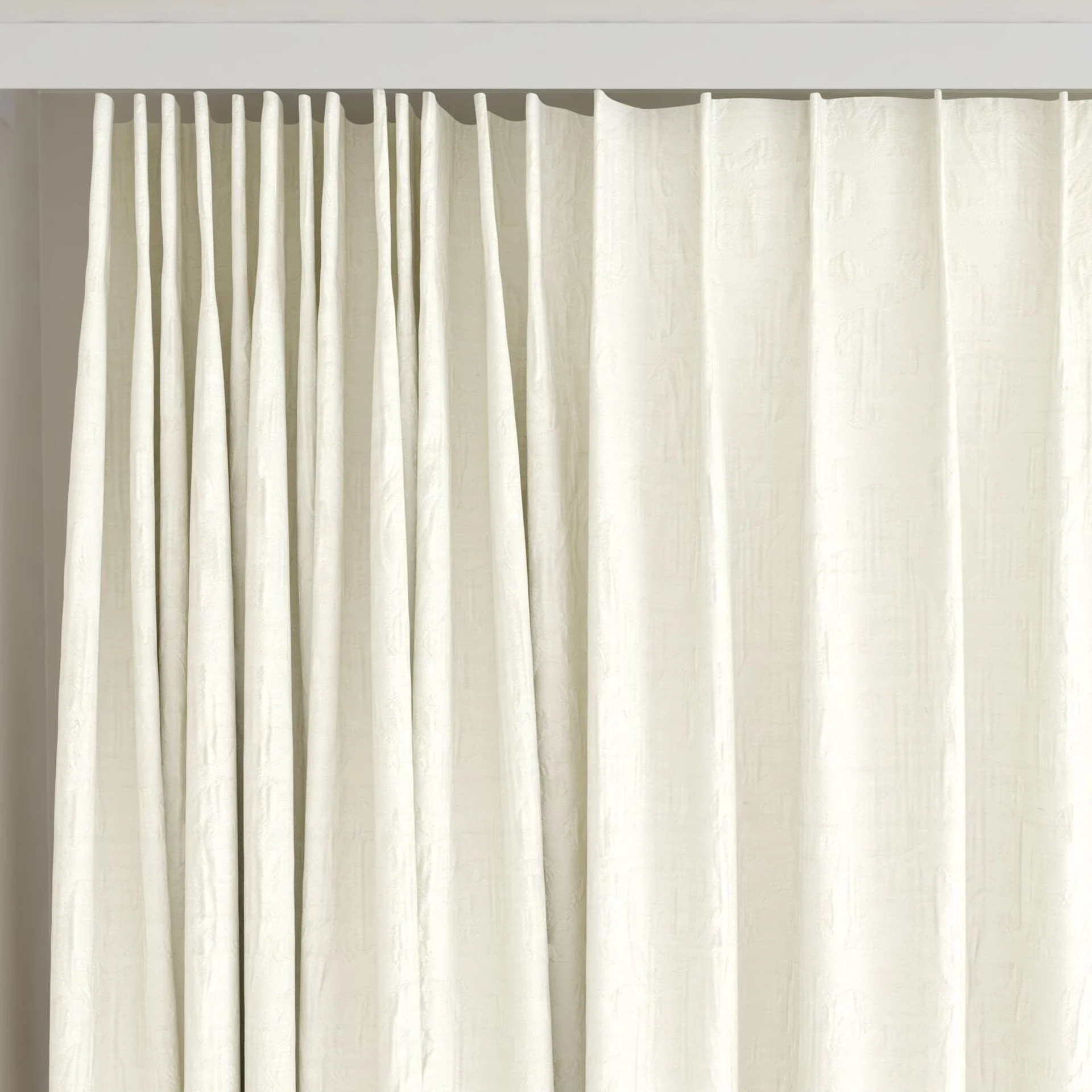 Top view of Juleste Sesame, on curtain rail