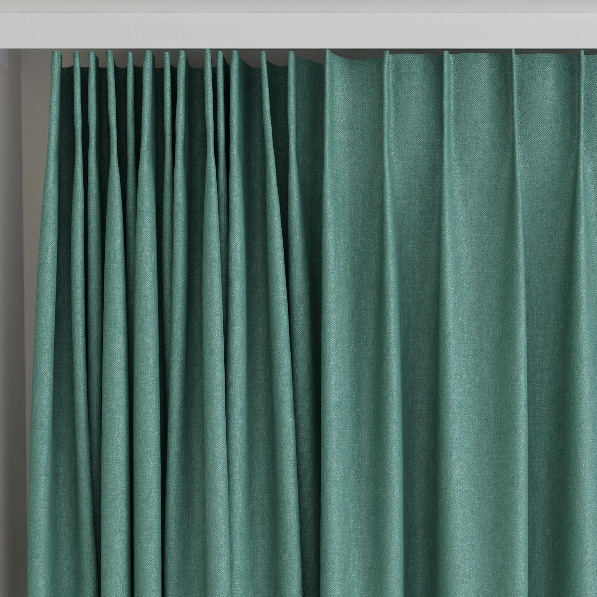 Top view of Rover Spruce, on curtain rail