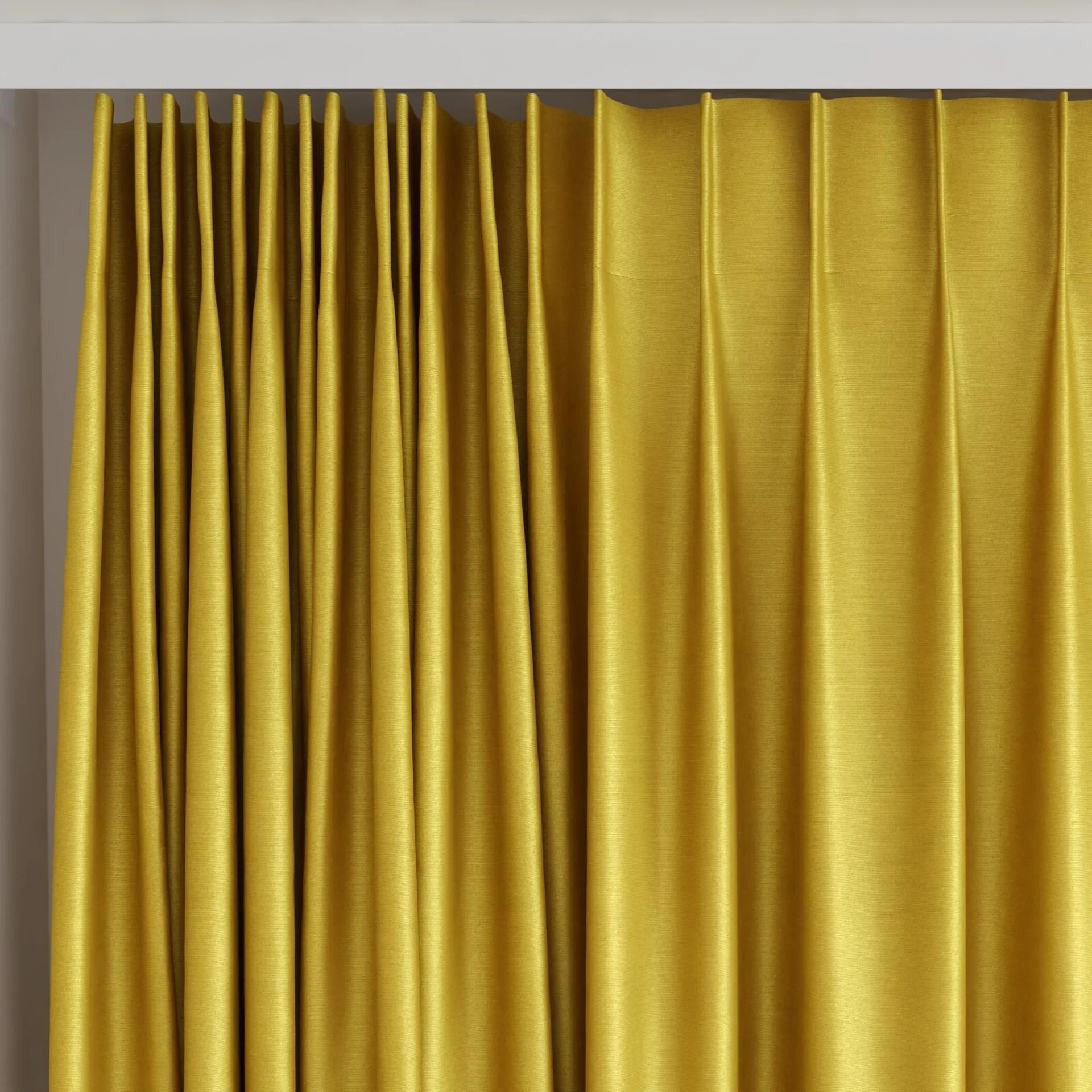 Top view of Mont Blanc Sunflower, on curtain rail