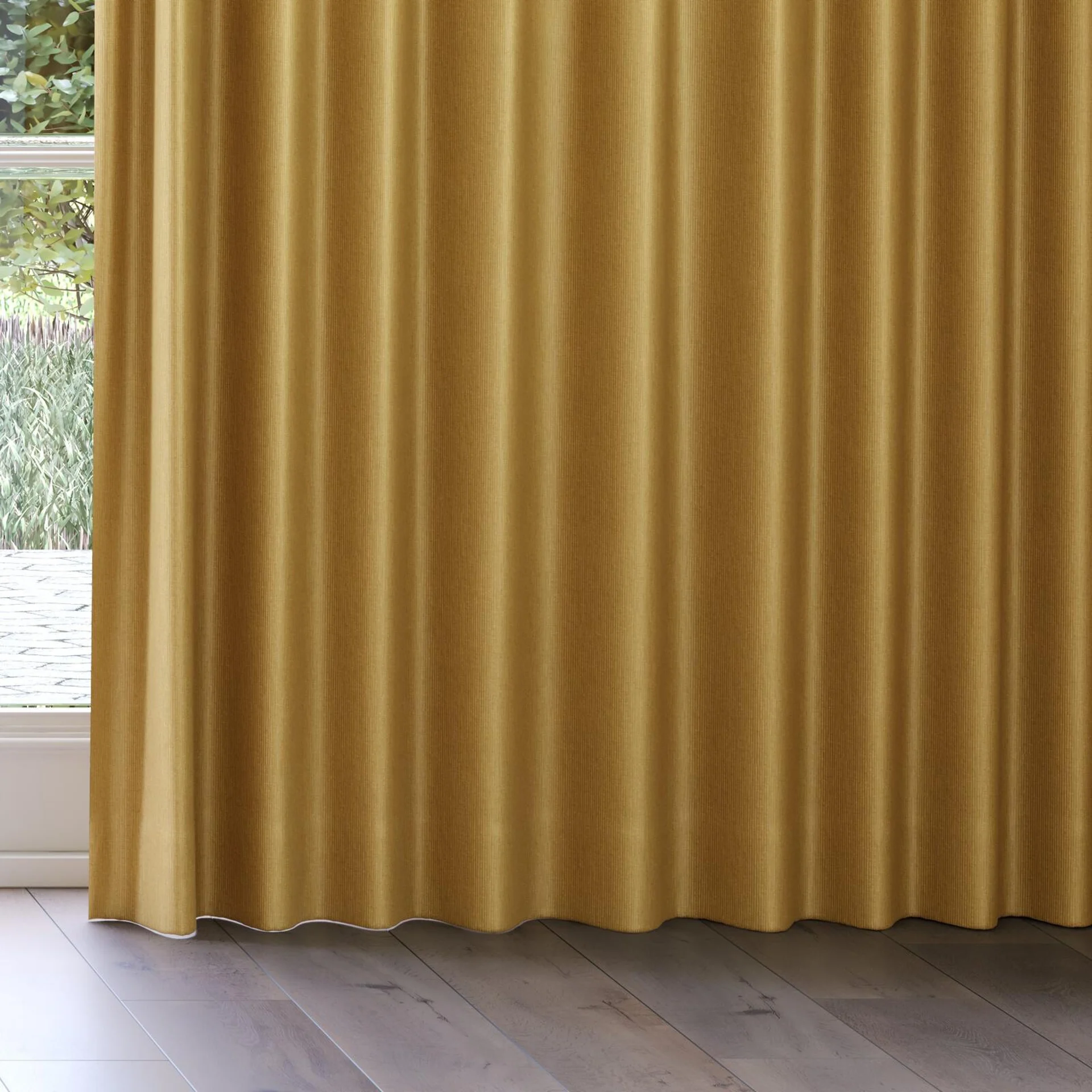 Bottom view of Hombre Gold, on curtain rail