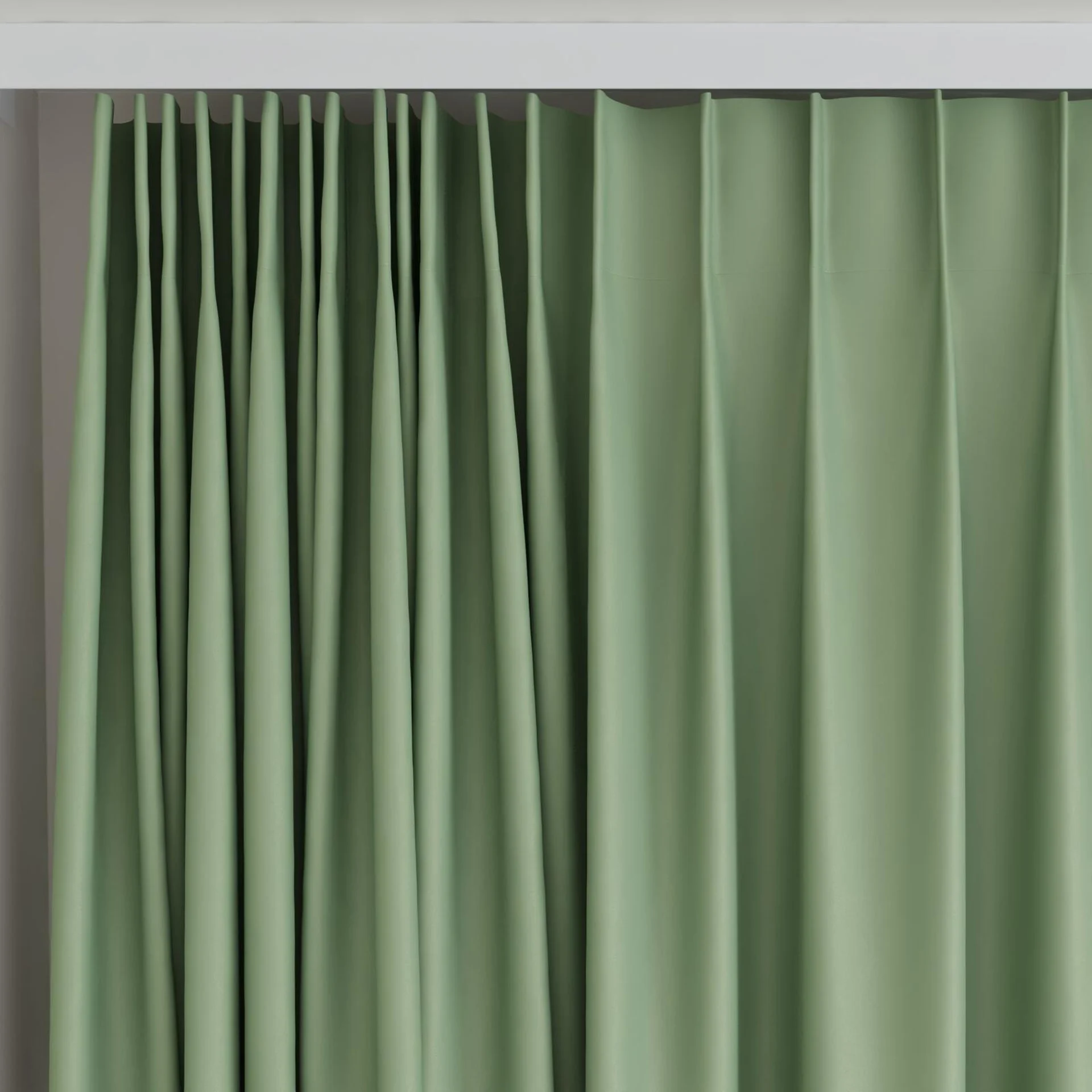 Top view of Blockbuster Basil, on curtain rail
