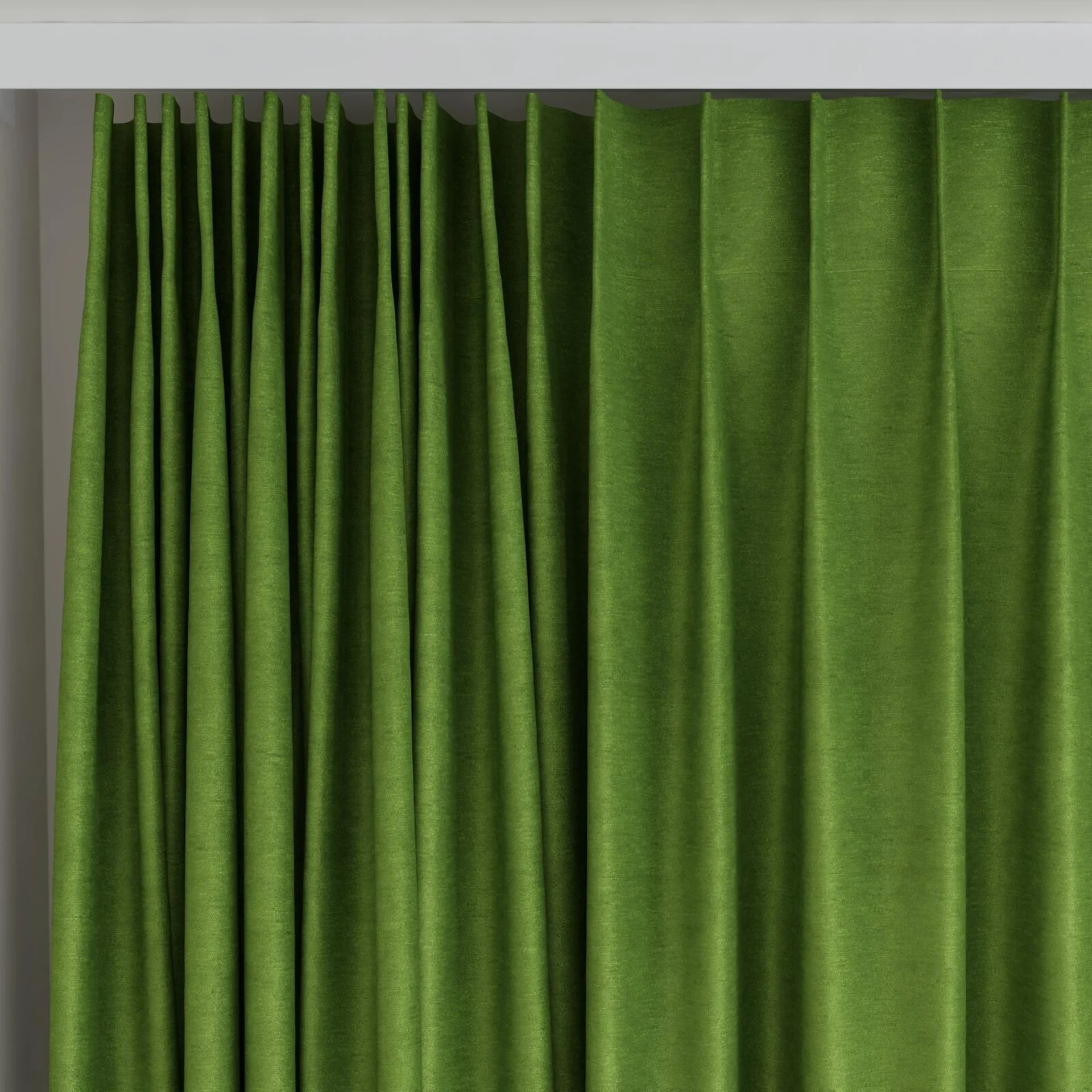 Top view of Baron Kiwi, on curtain rail