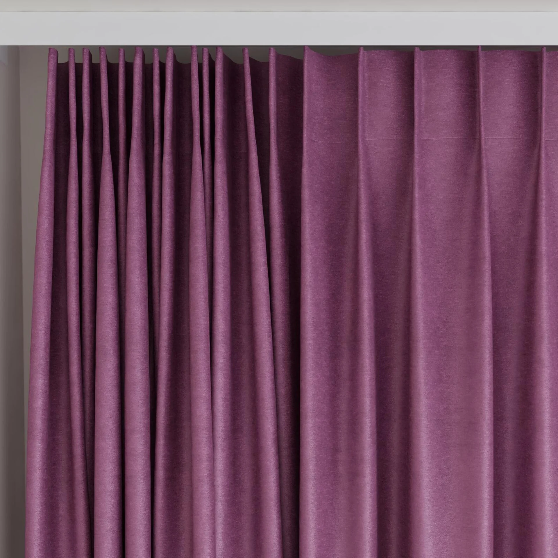 Top view of Baron Crocus, on curtain rail