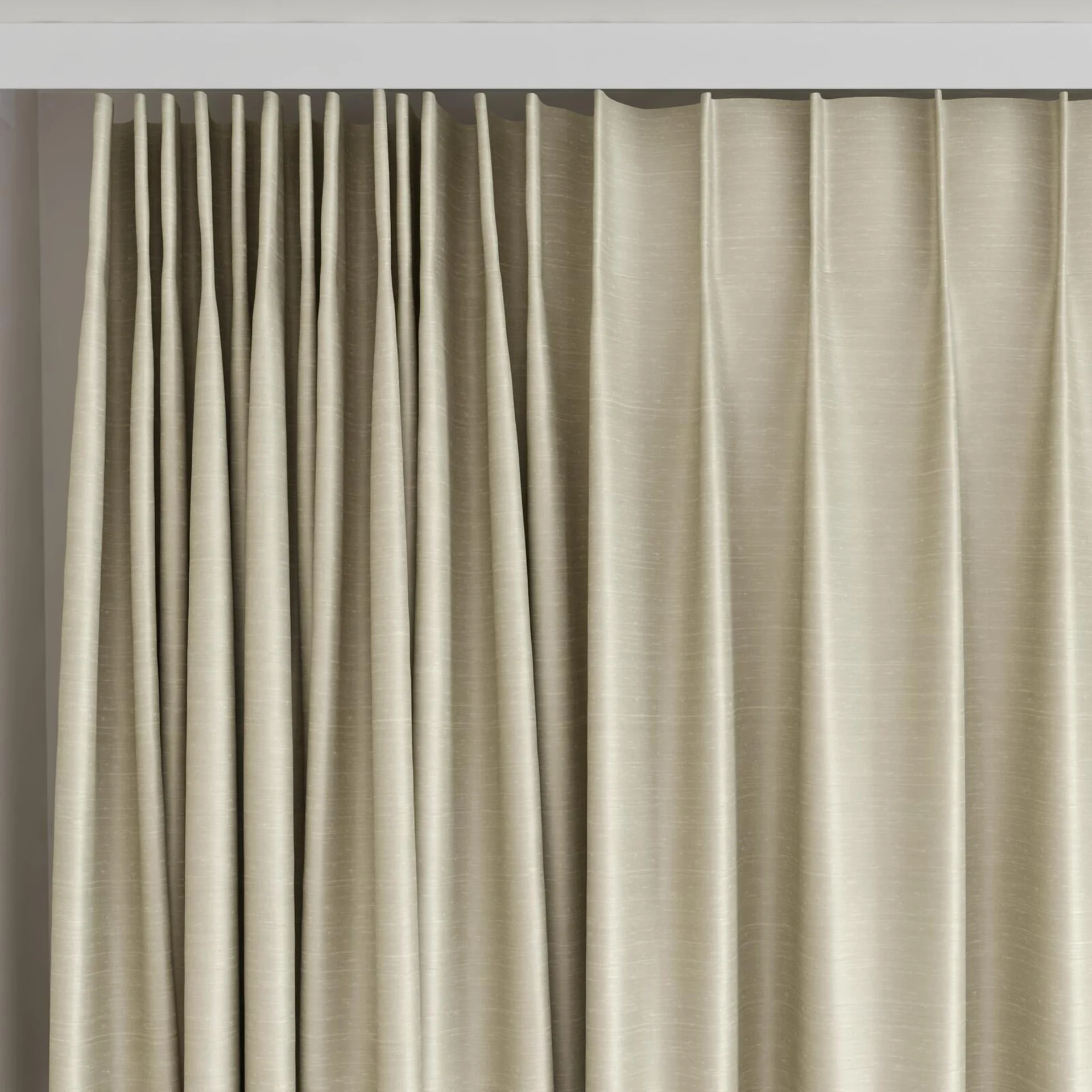 Top view of Silky Bean, on curtain rail