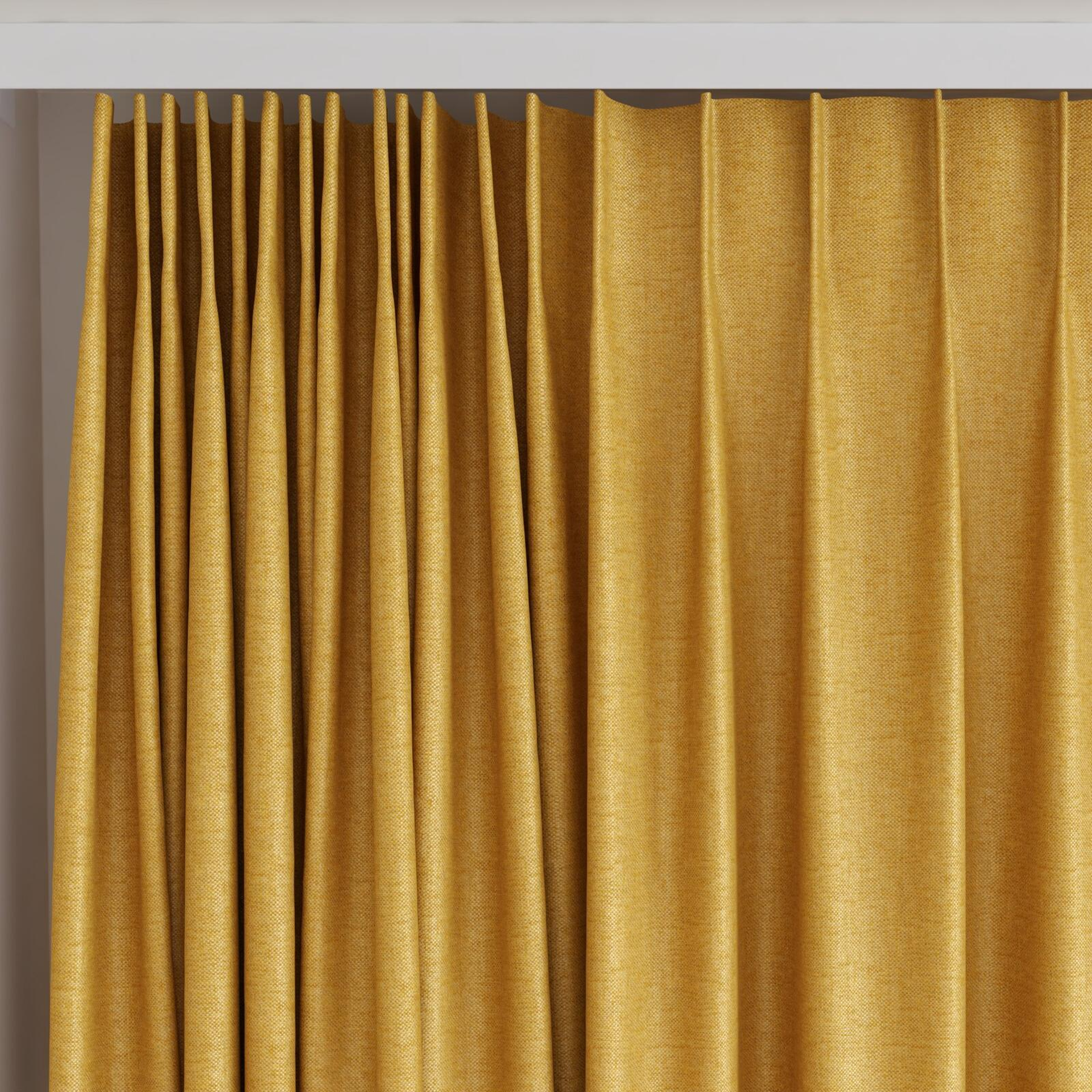 Top view of Bronco Honey, on curtain rail