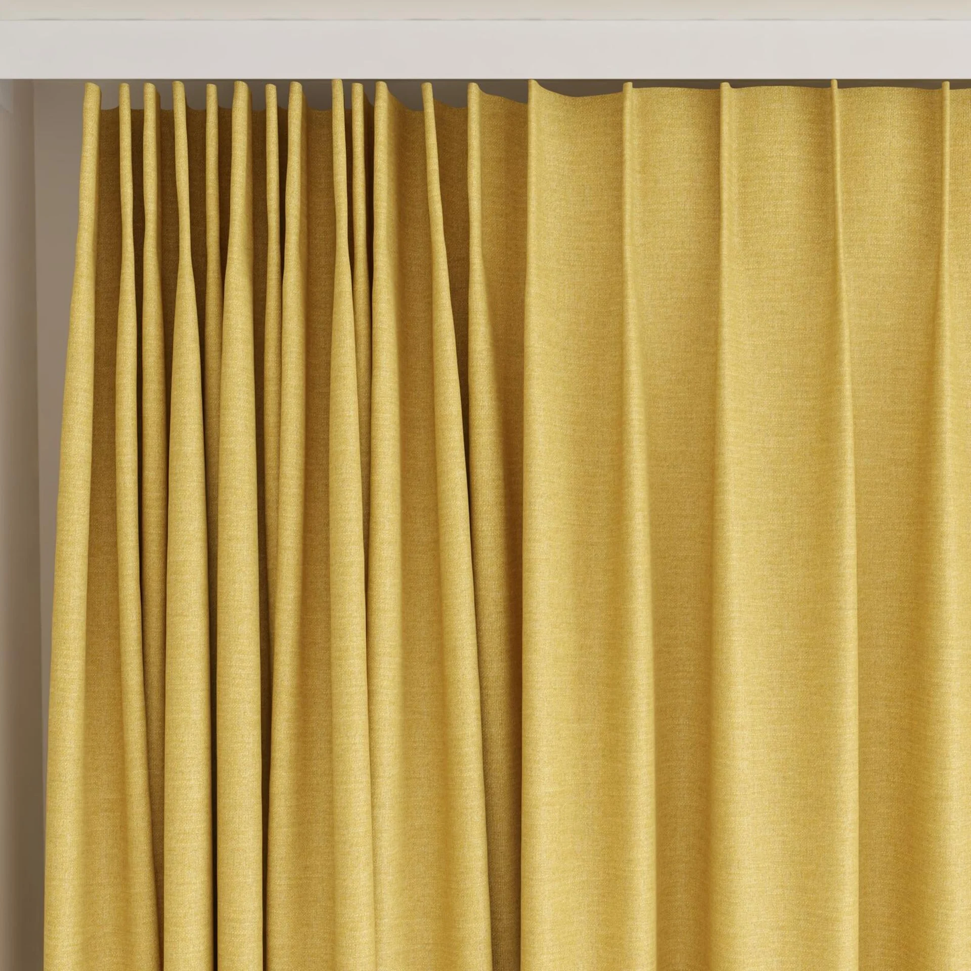 Top view of Casual Gold, on curtain rail