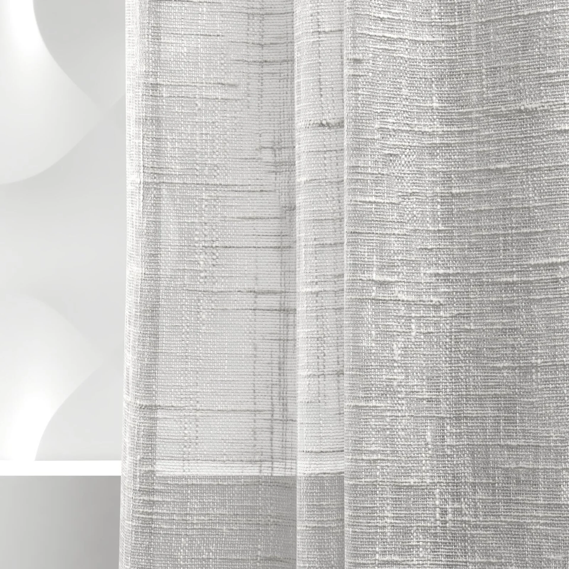 Detailed view of Beech Silver Birch